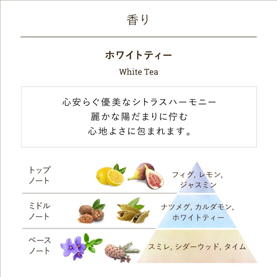 【お友達が香り選べる】SABON ボディスクラブ 600g