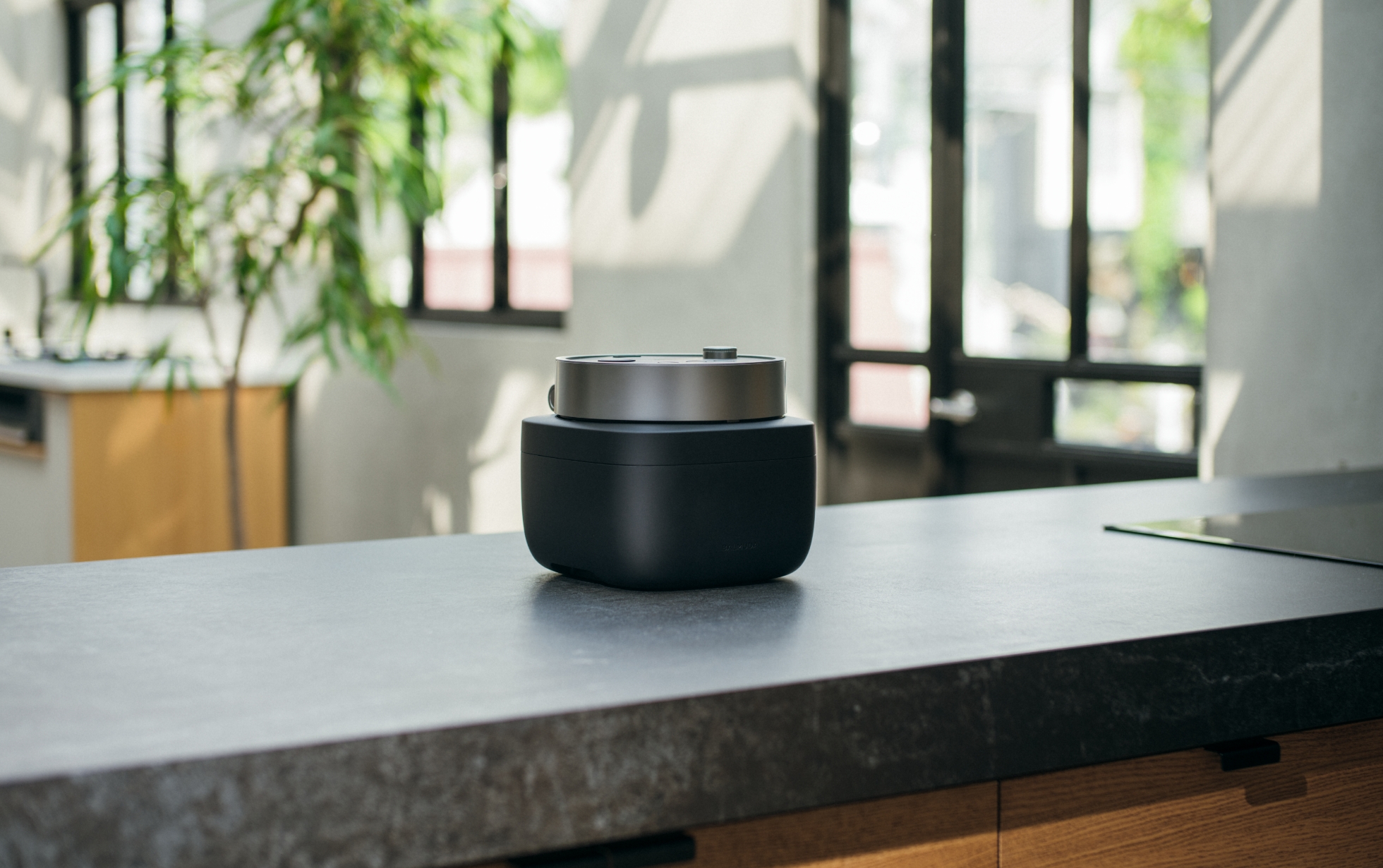 BALMUDA The Gohan（選べる2色）