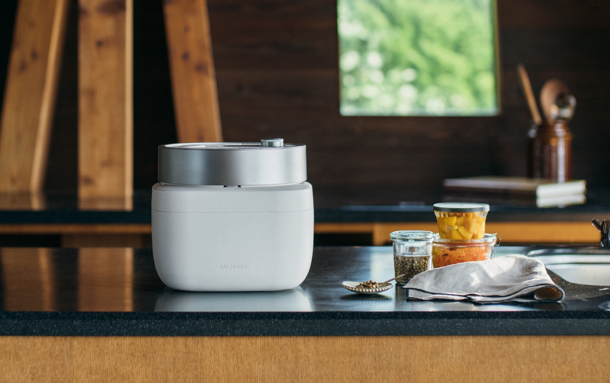 BALMUDA The Gohan（選べる2色）