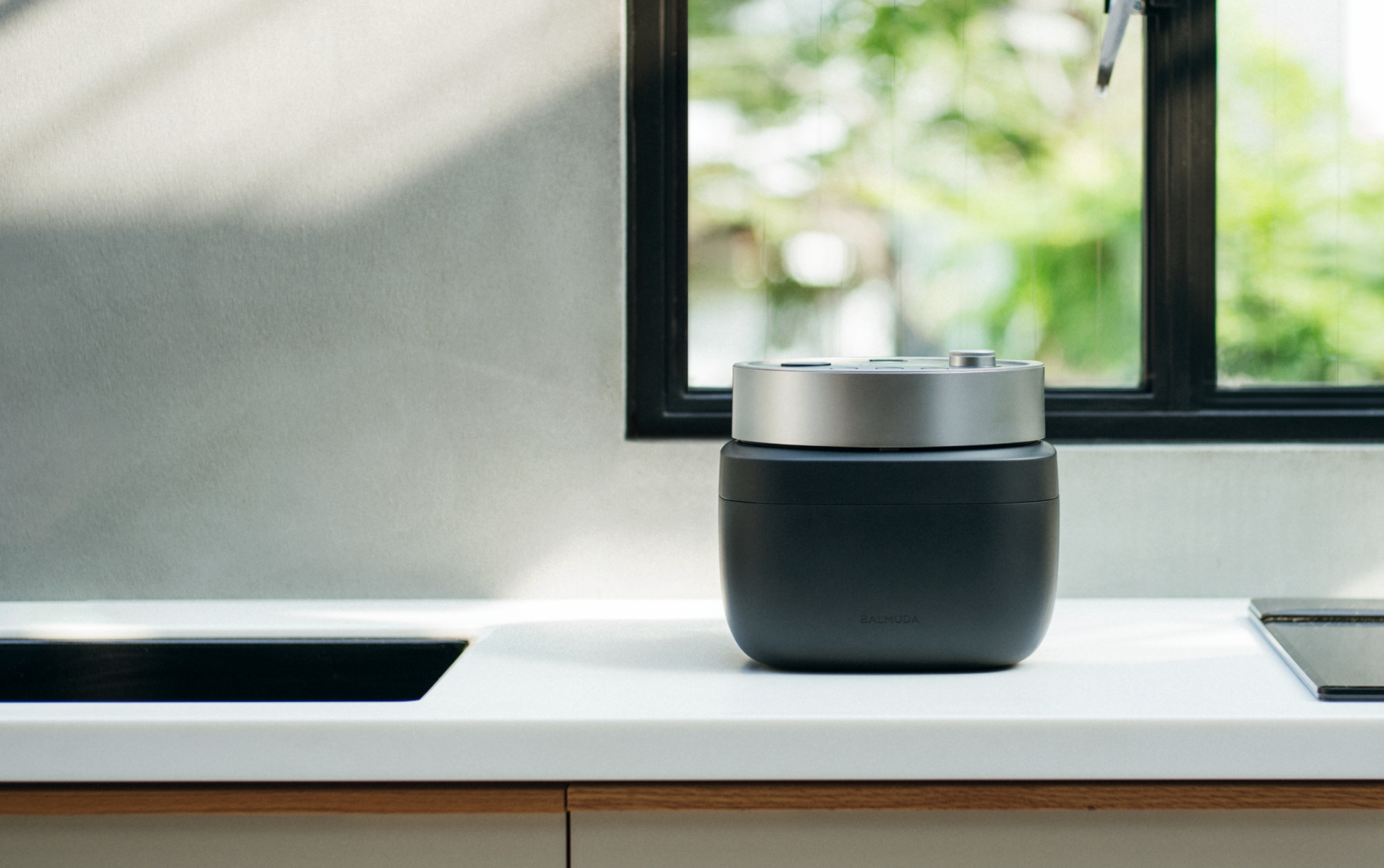 BALMUDA The Gohan（選べる2色）