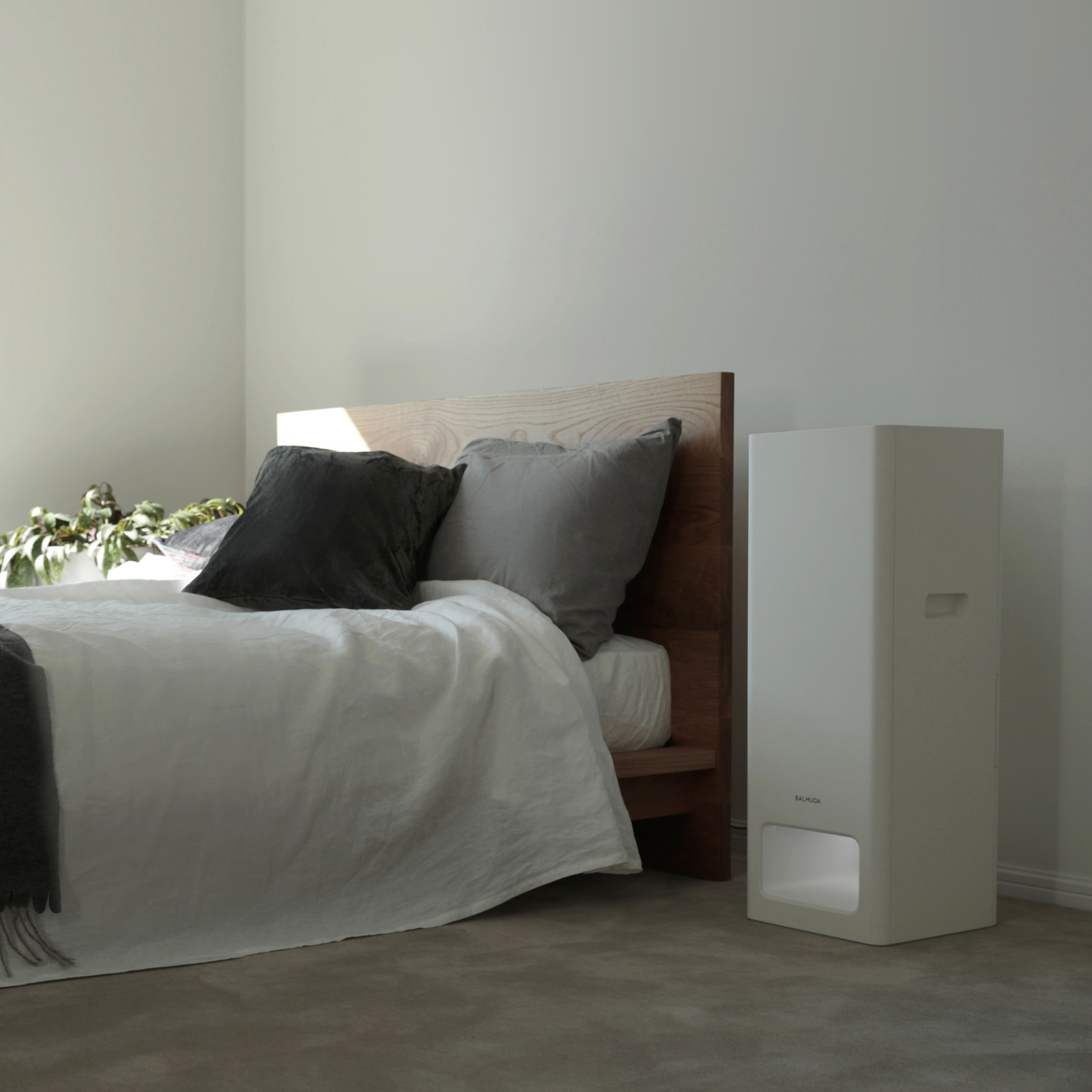 BALMUDA The Pure（選べる2色）