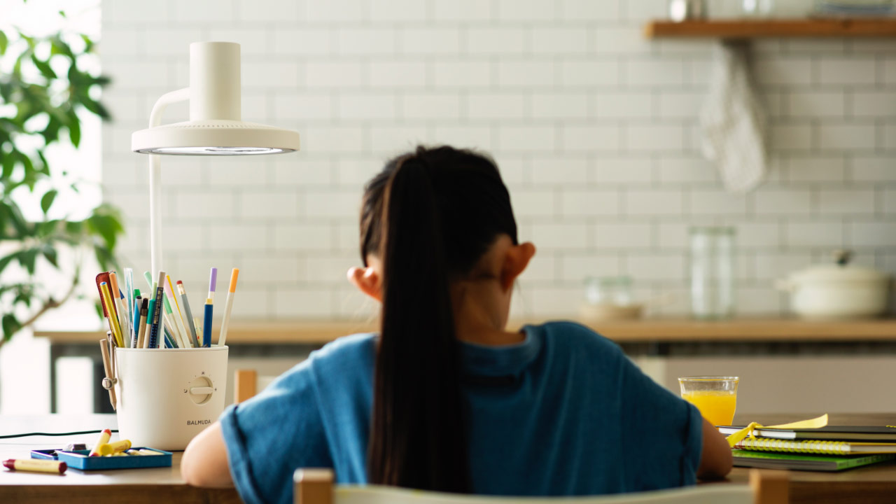 BALMUDA The Light（選べる2色）