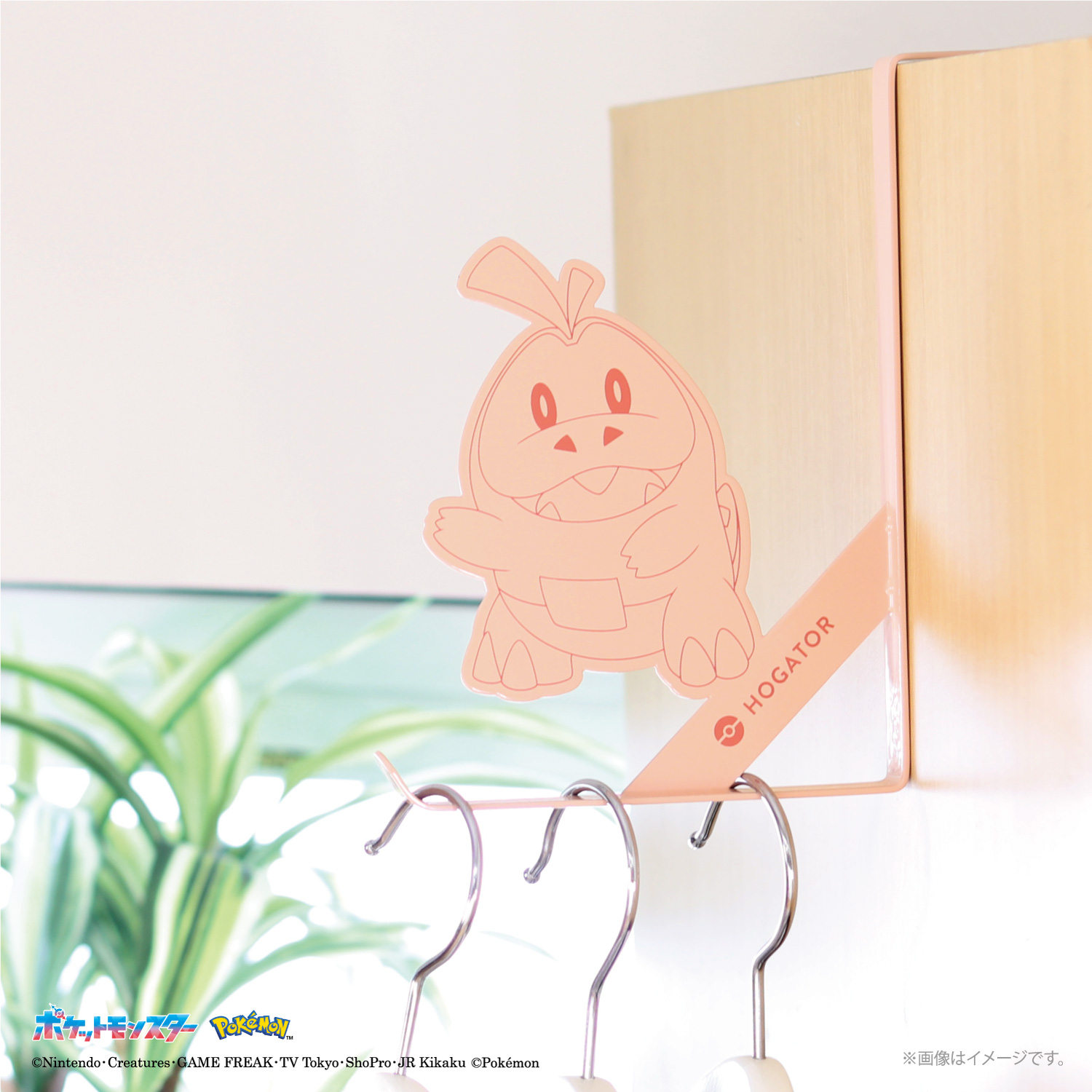 ポケモンドアフック 