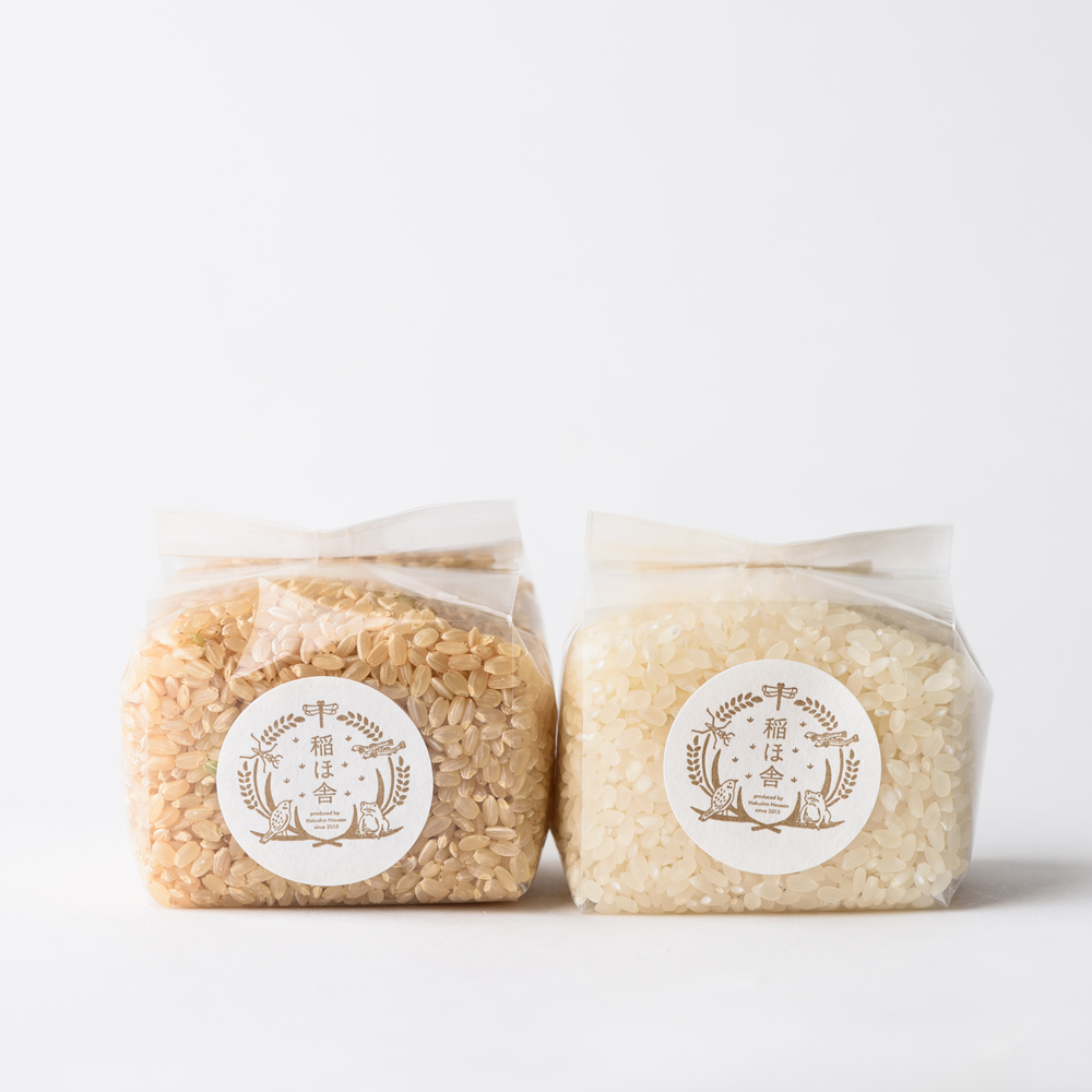 昆布とお米といろいろセットB