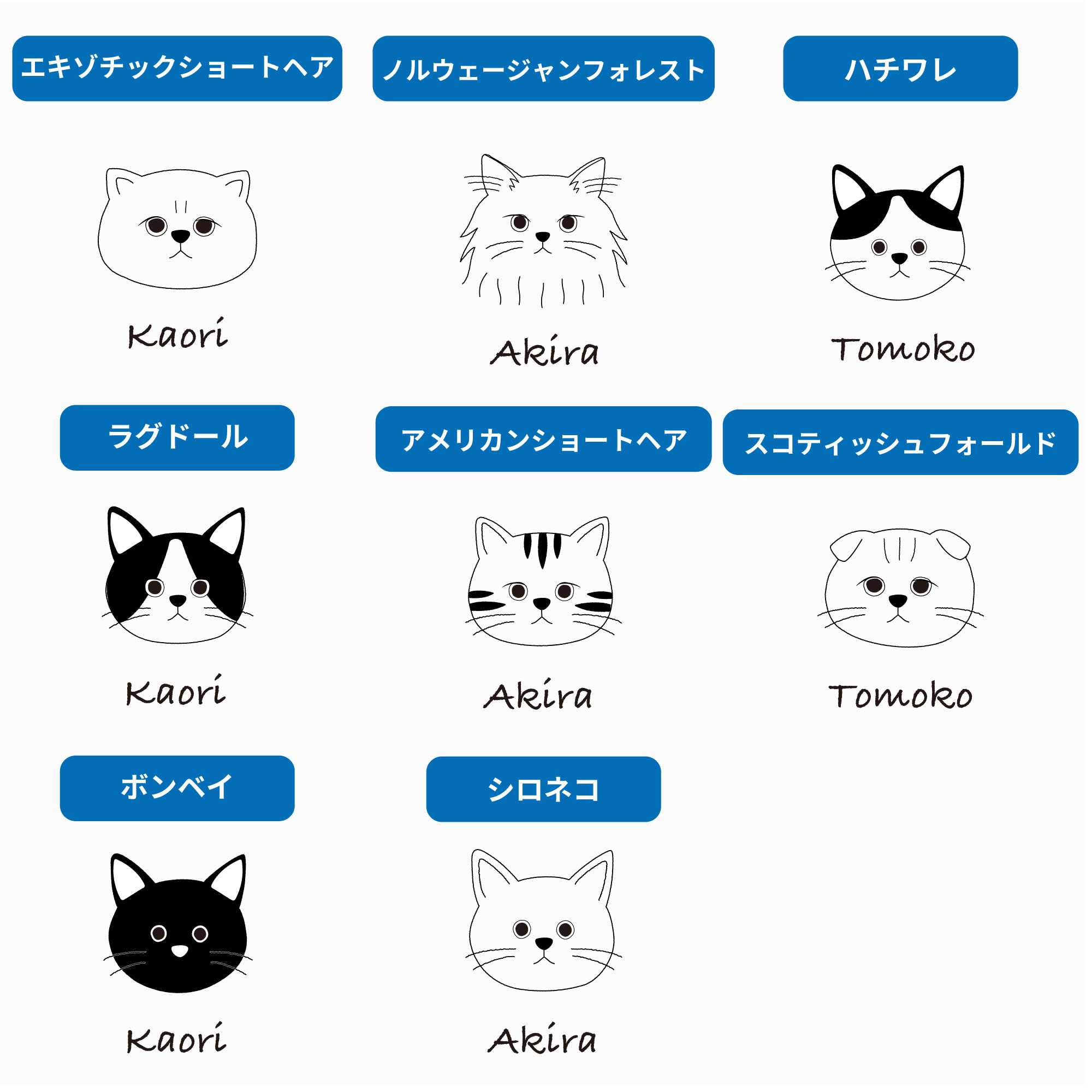 【名入れ】選べる猫種  グラデーションサーモタンクボトル 300ml