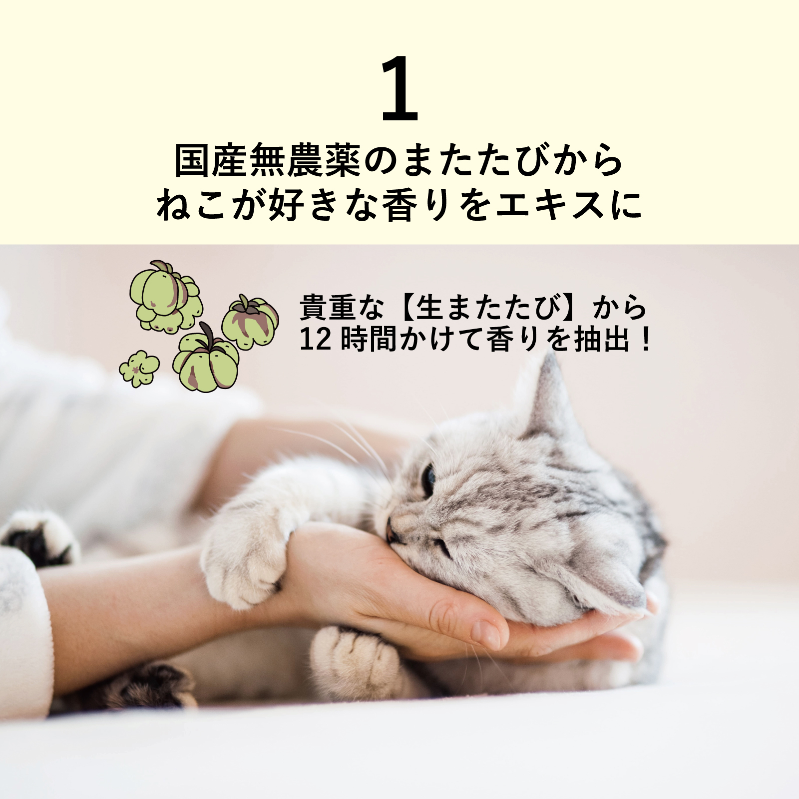 【またたびハンドクリーム】ねこいちゃ ハンドクリーム