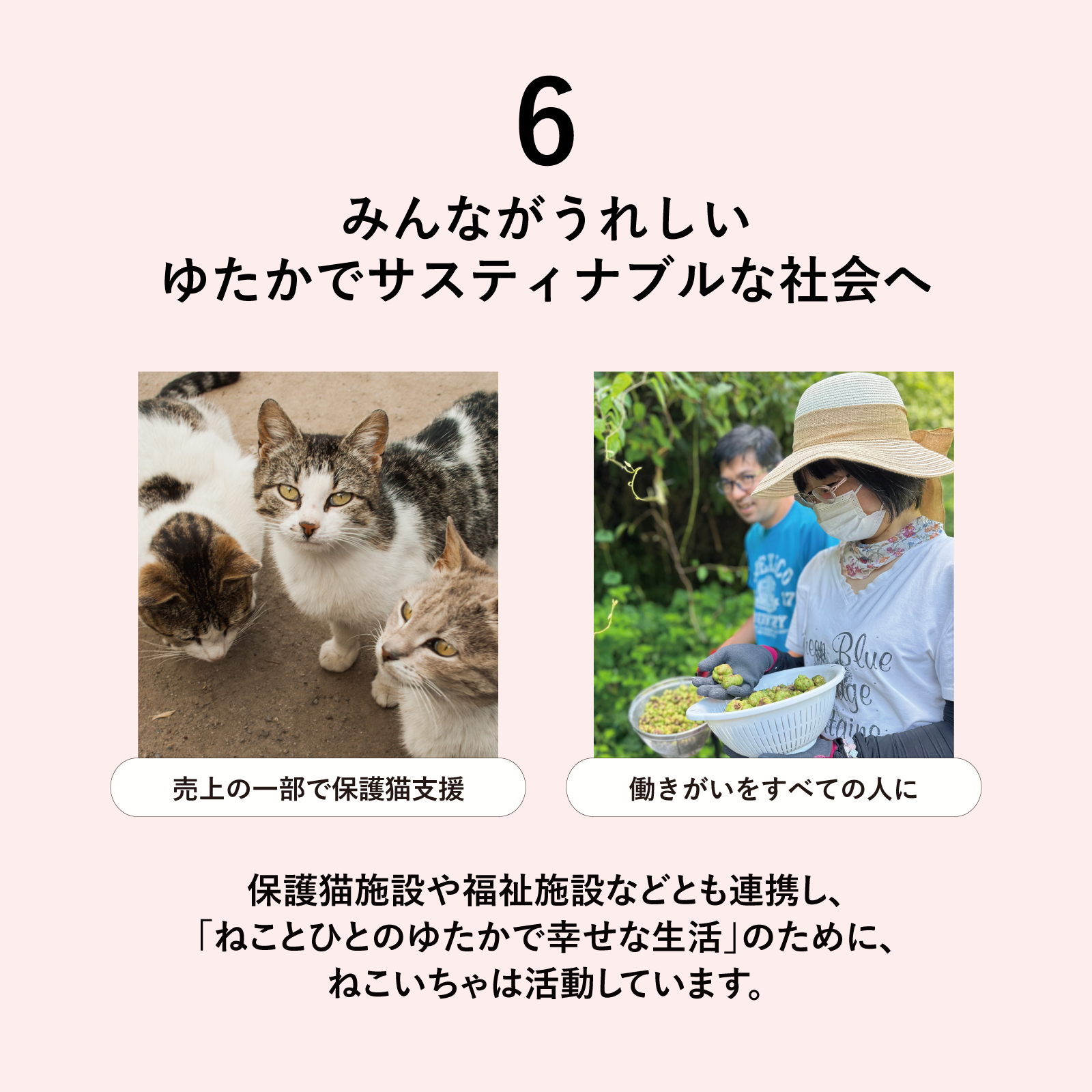 【またたび ハンドソープ】ねこいちゃ 泡ハンドソープ