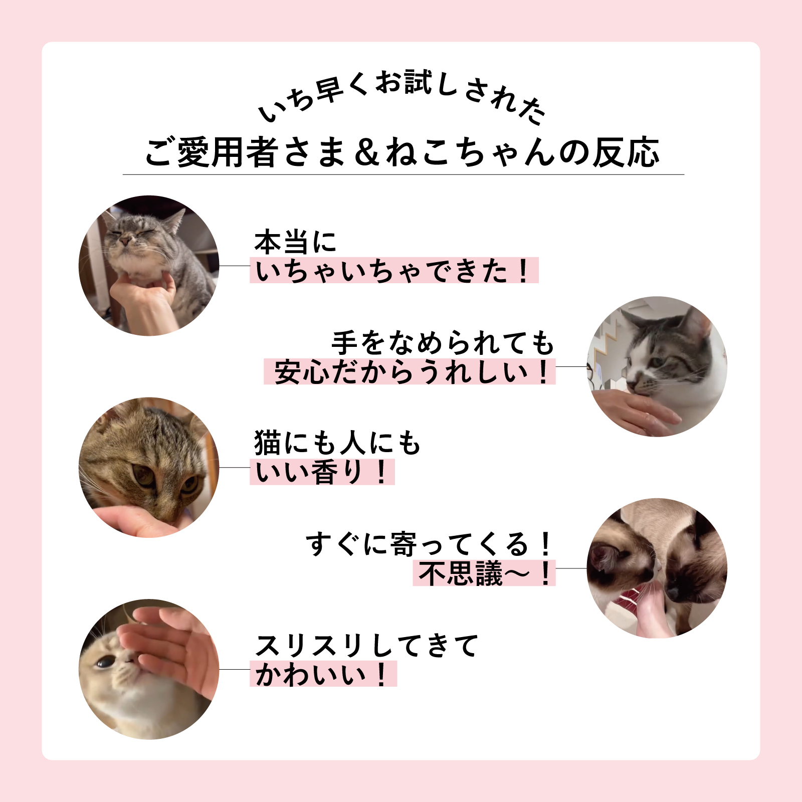 【またたび ハンドケア】ねこいちゃ ハンドケアセット
