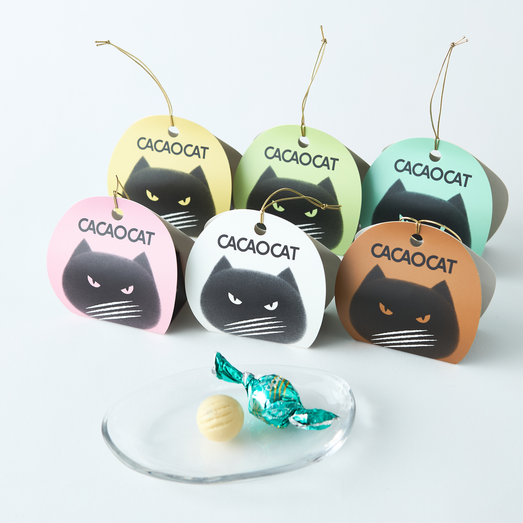 【BOX付】CACAOCAT＆シンピュルテヘアオイルセット