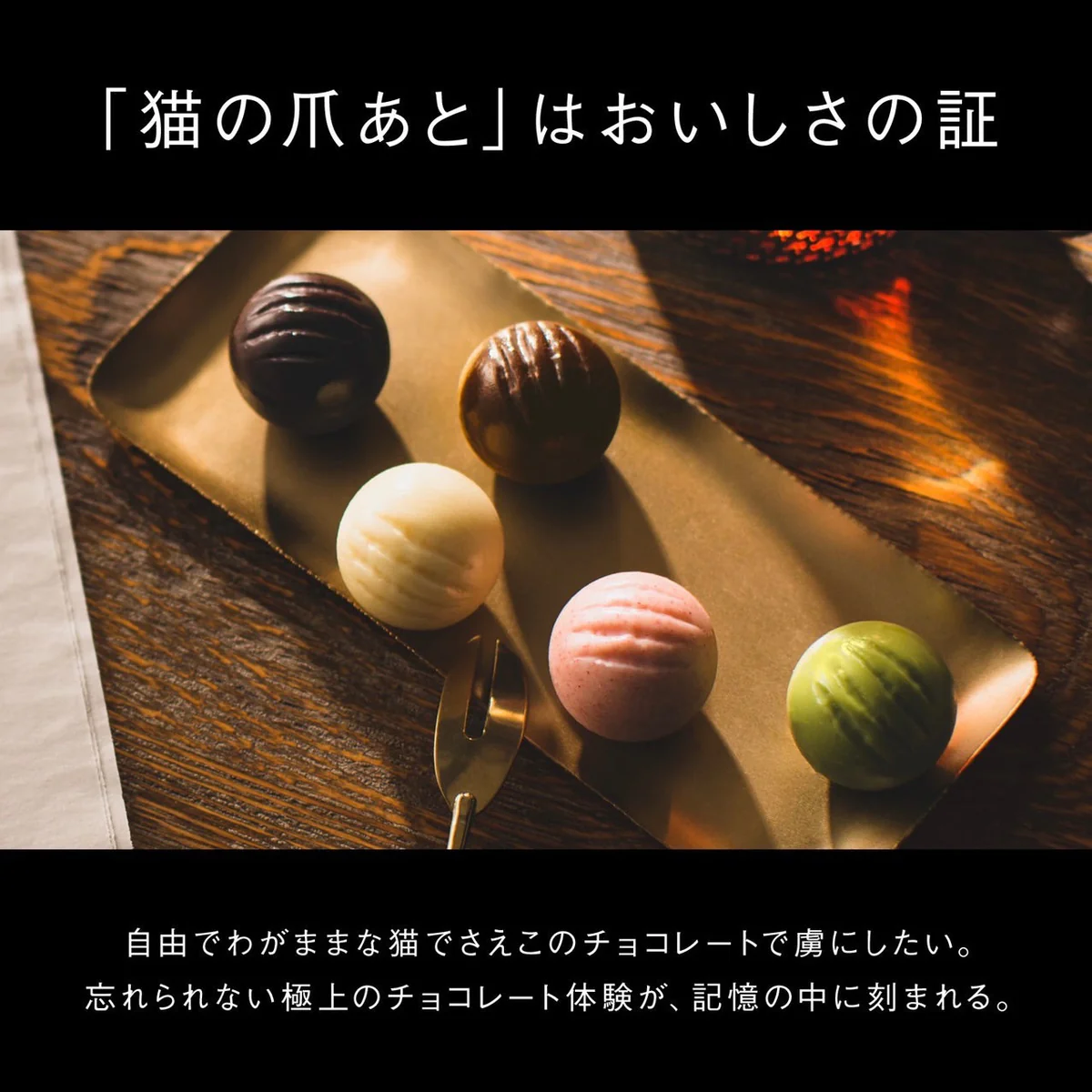 【BOX付】CACAOCAT＆シンピュルテヘアオイルセット