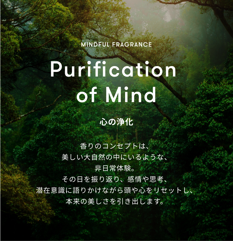 AVEDAパドルブラシ＆シンピュルテヘアオイルセット