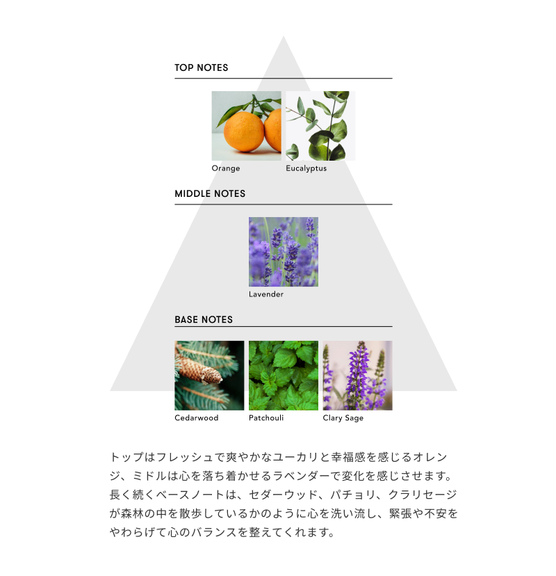 AVEDAパドルブラシ＆シンピュルテヘアオイルセット