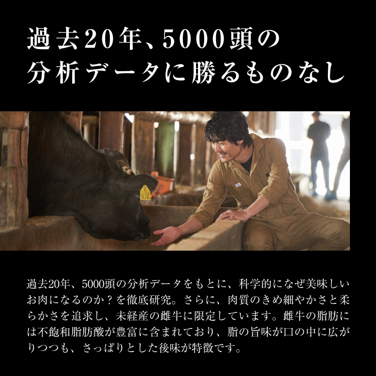 THE ROAST BEEF BOX-2産地食べくらべBOX（B5）