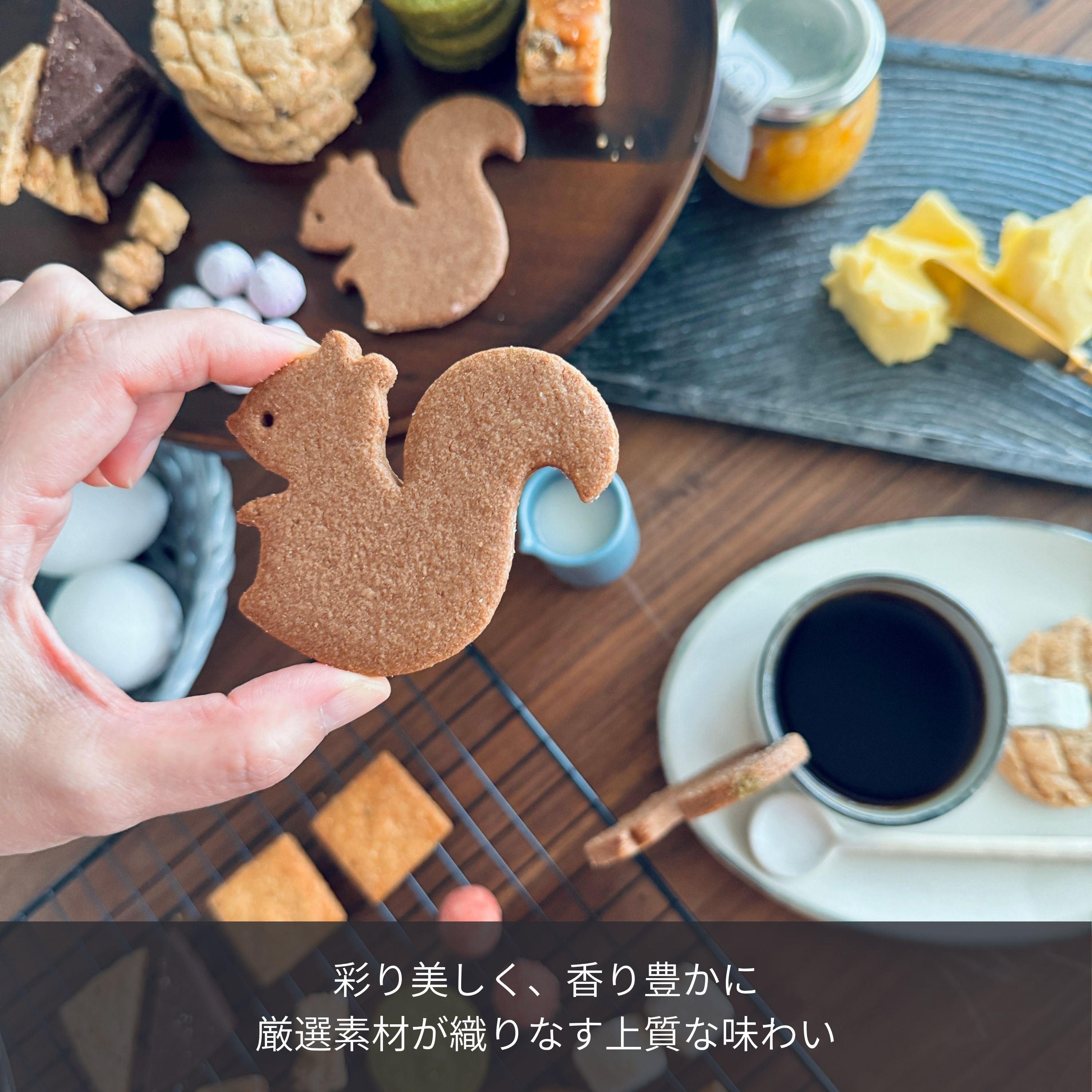 リスと戯れる森のクッキー缶