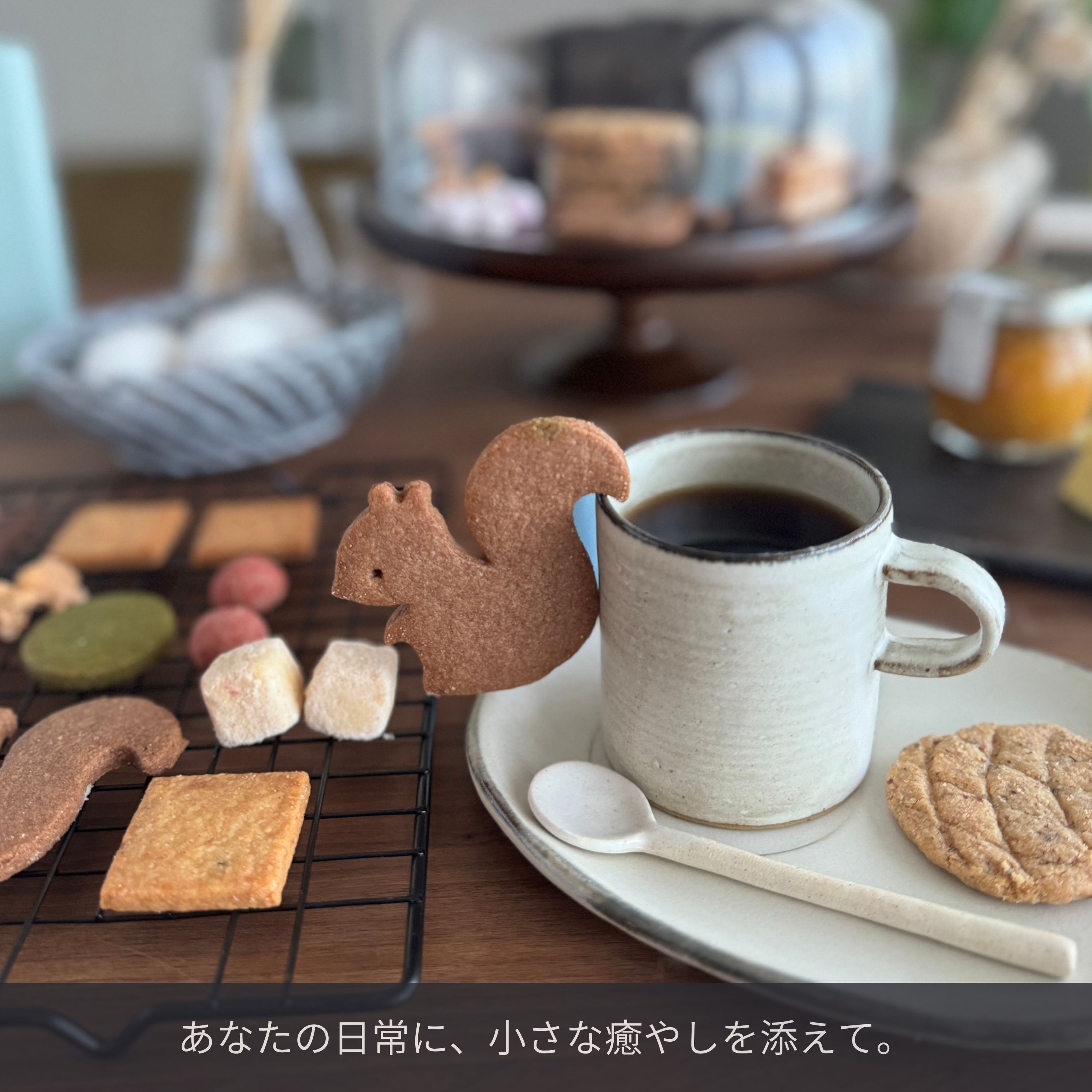 リスと戯れる森のクッキー缶