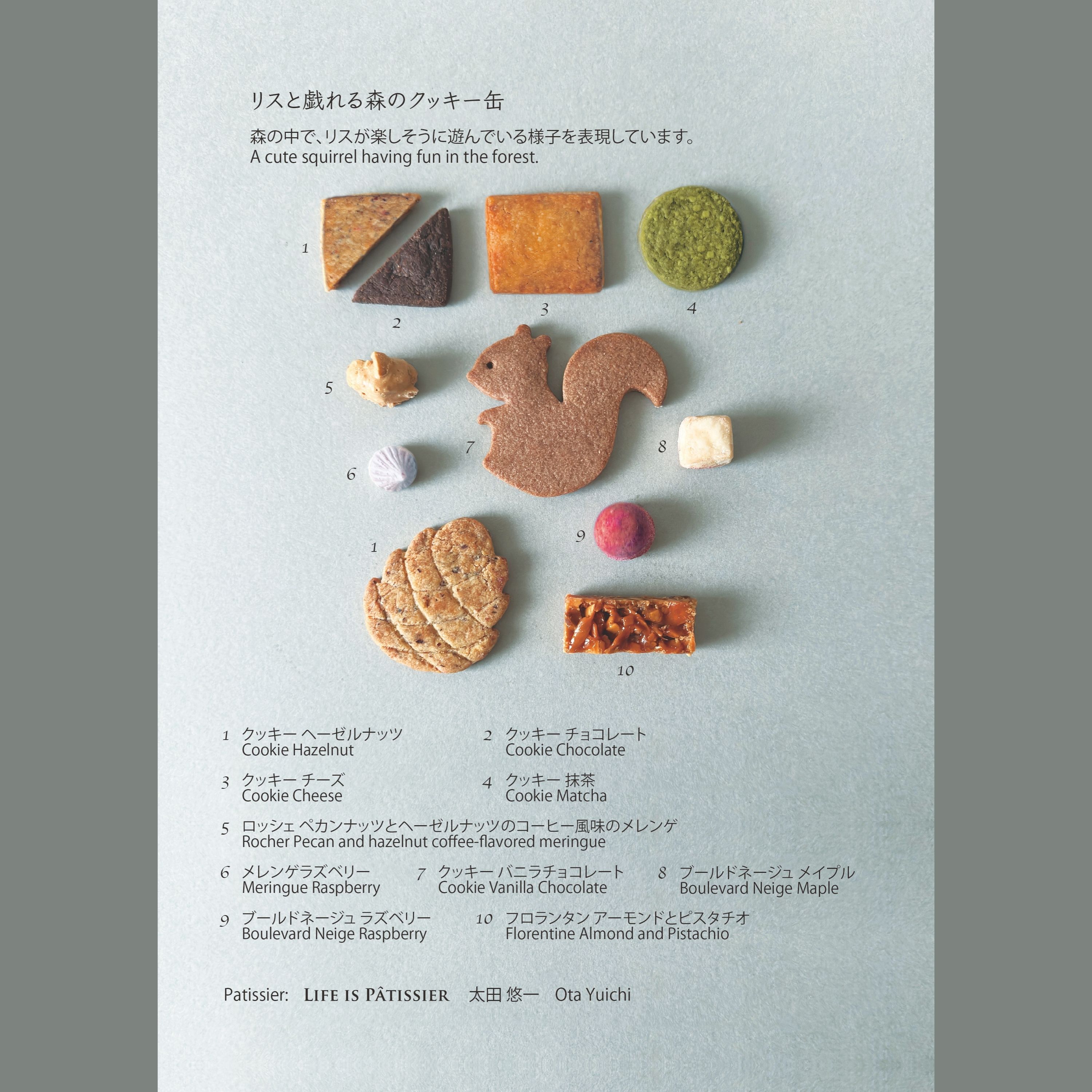 リスと戯れる森のクッキー缶