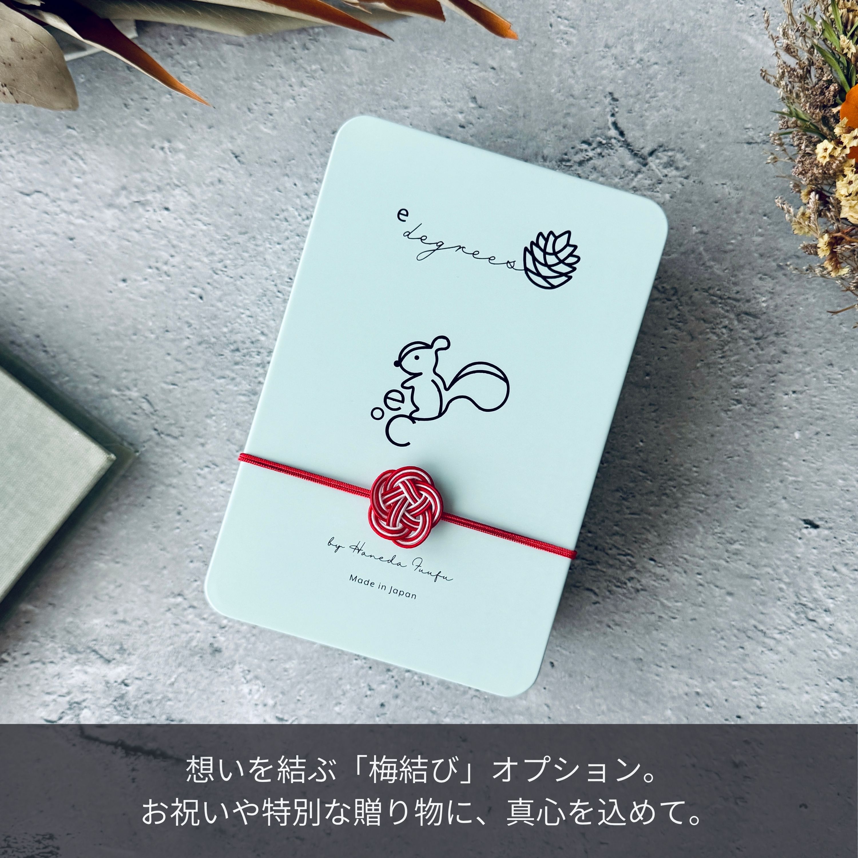 リスと戯れる森のクッキー缶