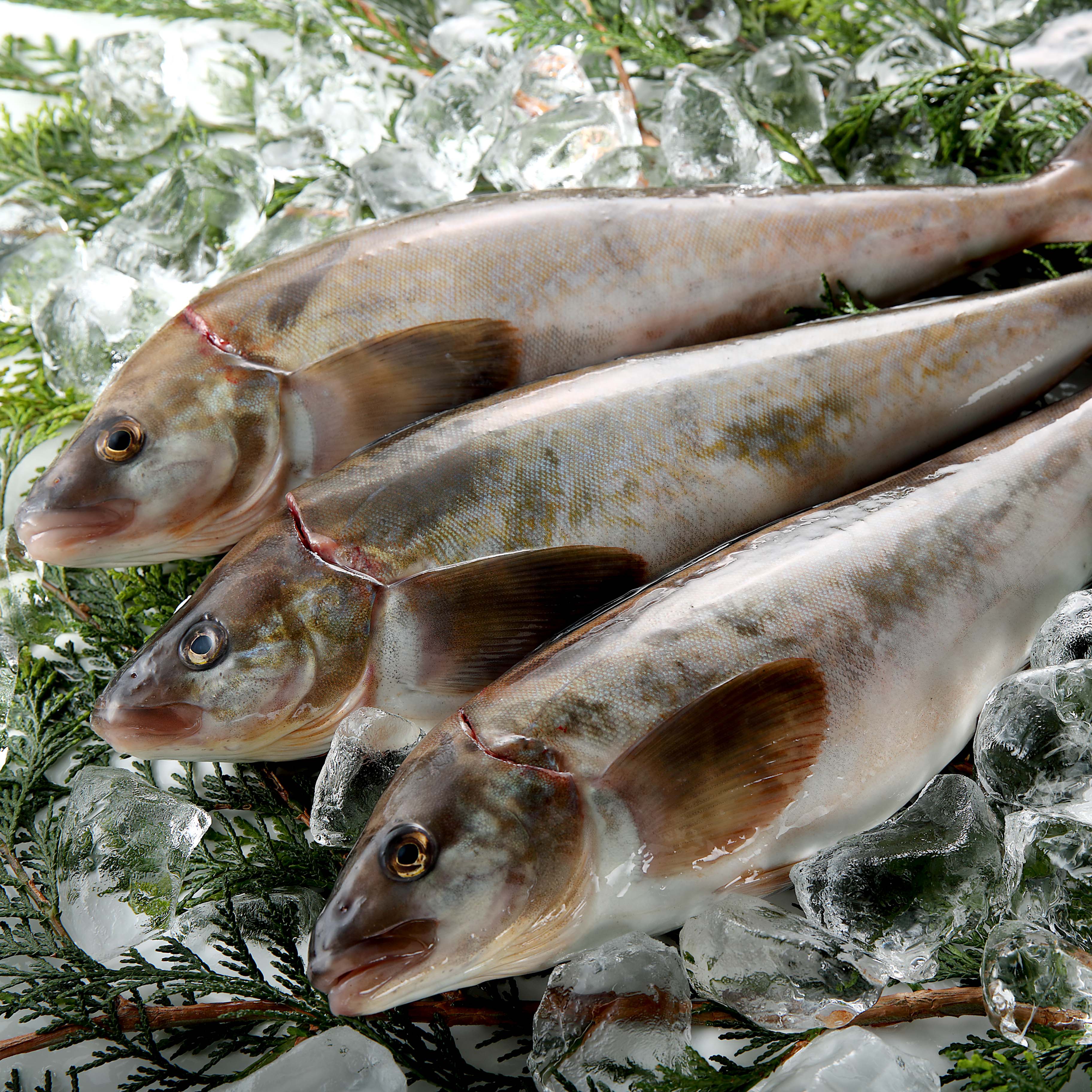 【贅沢 海の幸14点・山の幸6点セット】北海道 極宝珠漬セット F