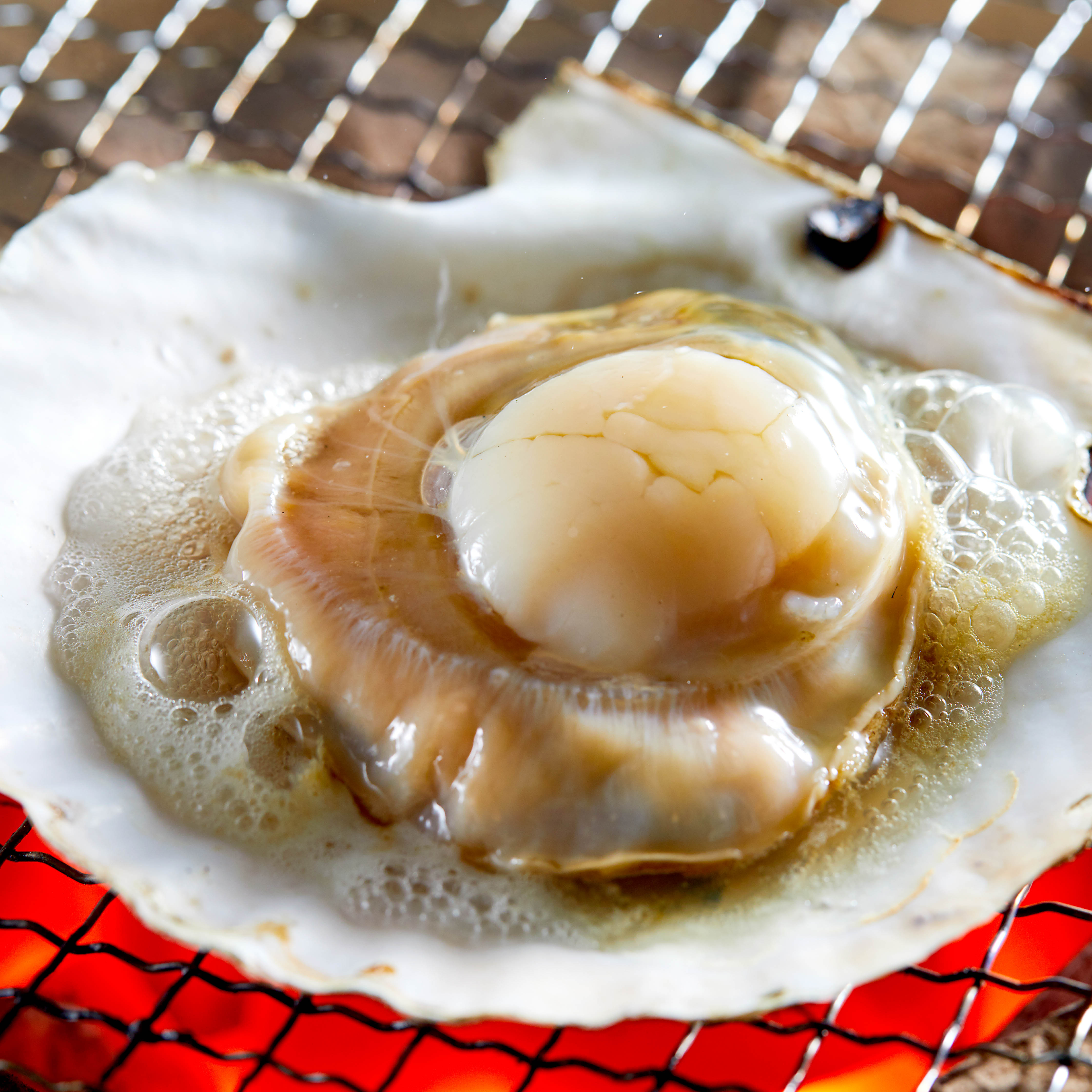 【贅沢 海の幸14点・山の幸6点セット】北海道 極宝珠漬セット F