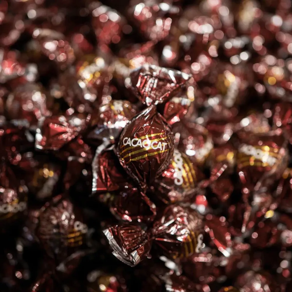 CACAOCAT 6個入 CAT