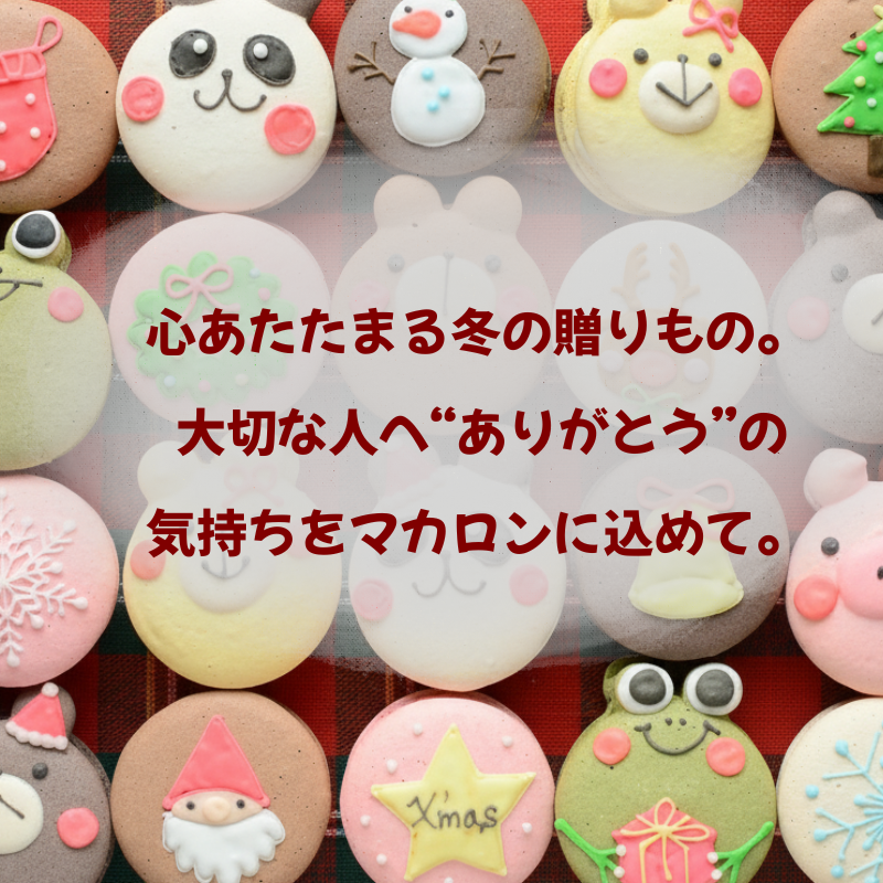 【名入れ・メッセージ】動物マカロン 9個入り