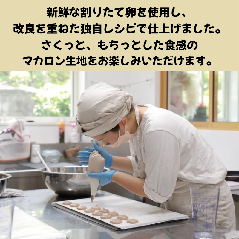 【名入れ・メッセージ】動物マカロン 9個入り