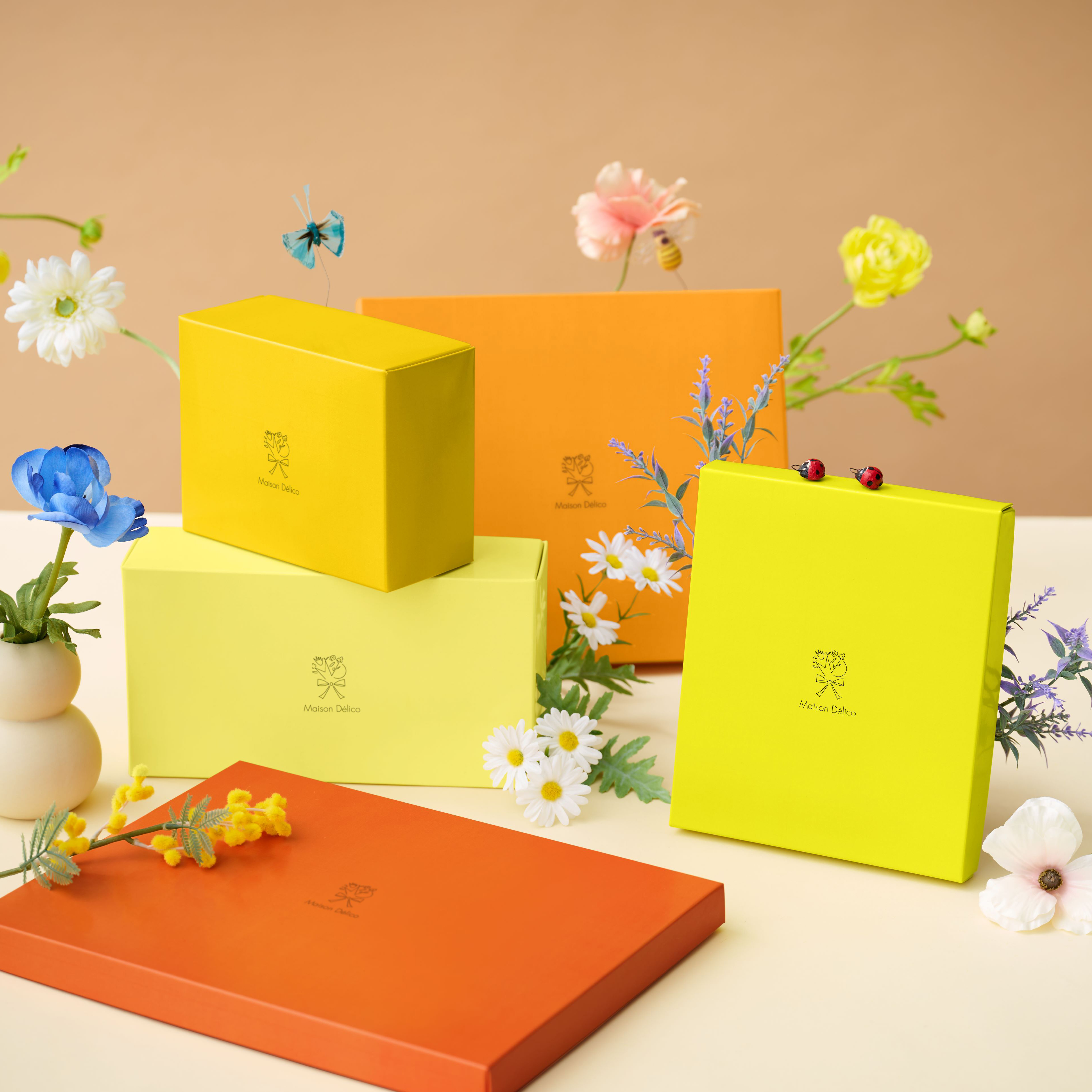 ヘーゼルナッツショコラクリーム1本＆ソイクッキー（3種）9枚セット