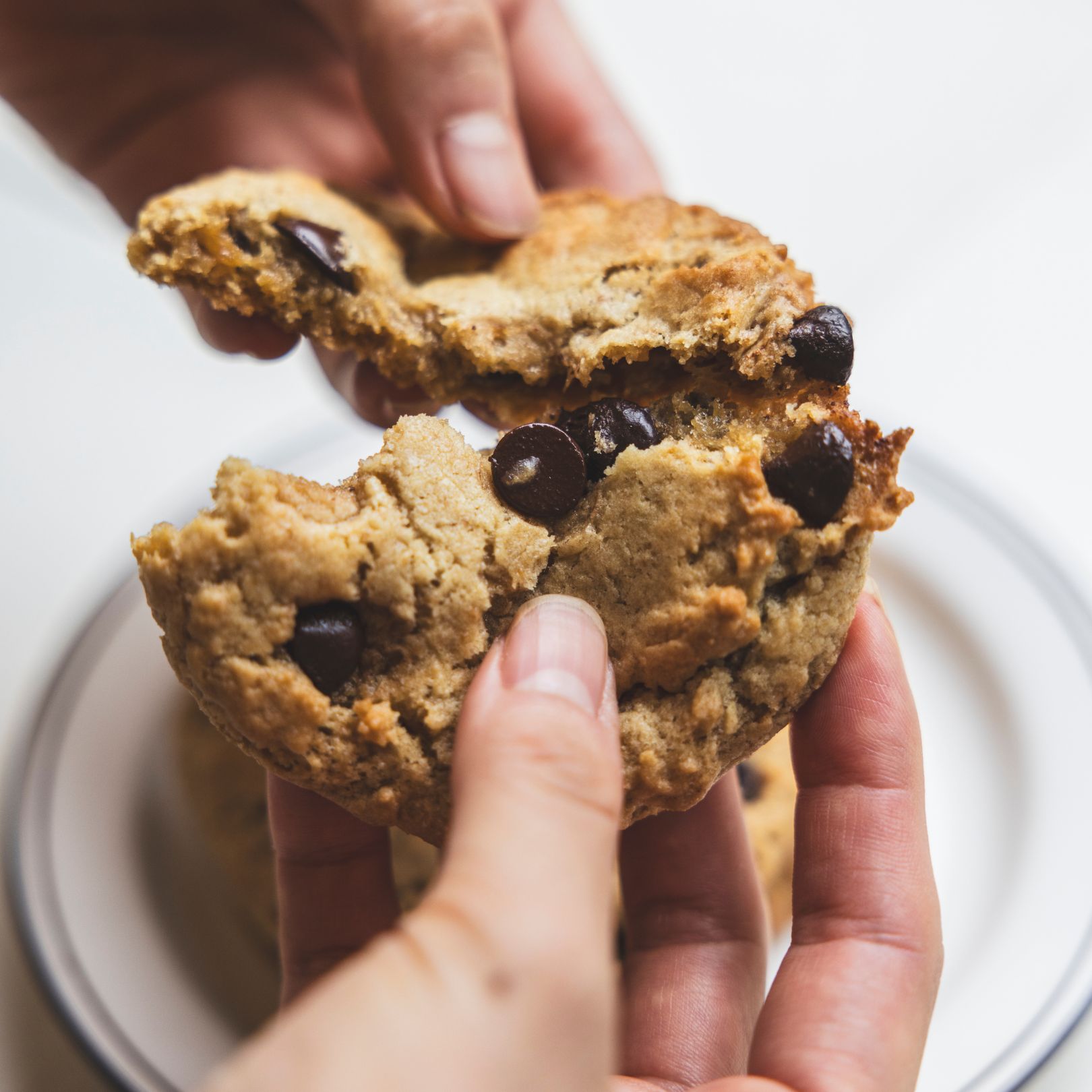 アメリカン焼き菓子セット OVGO BOX （ヴィーガンスイーツ）