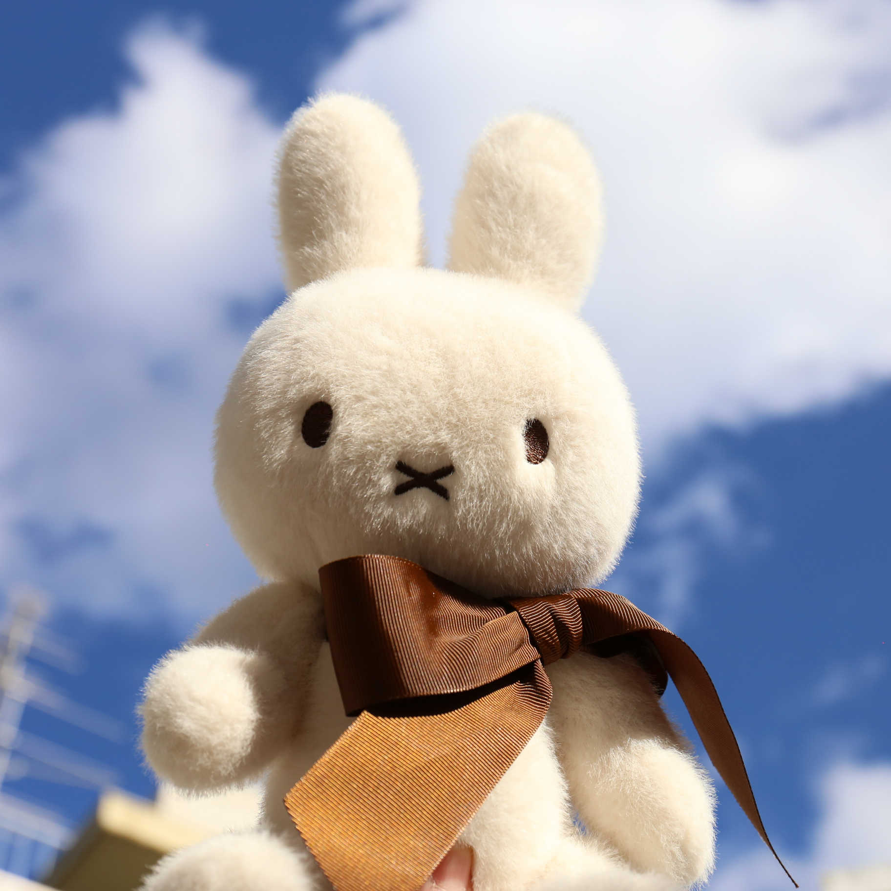 Ltd.Edition Miffy in giftbox 34cm