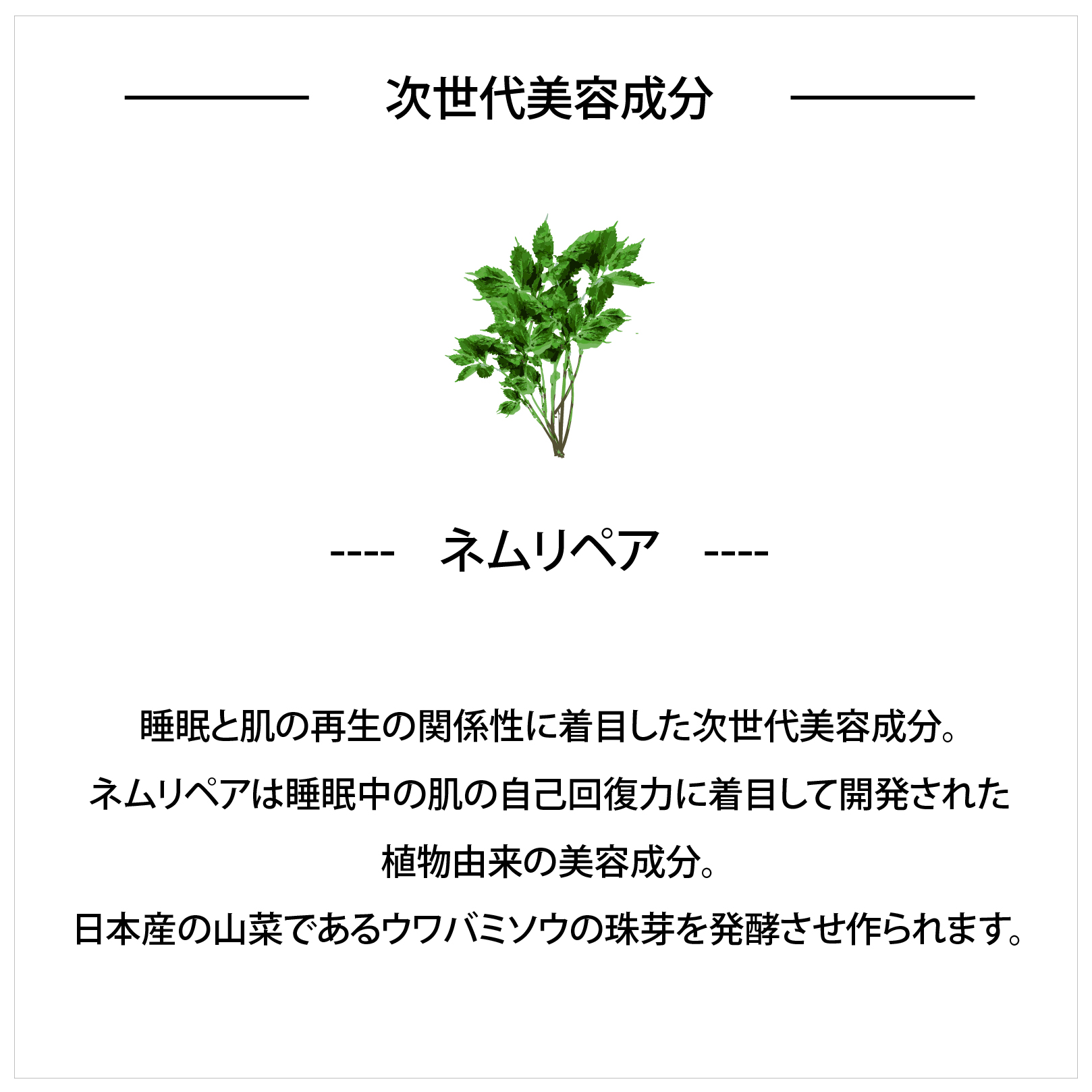 肌にやさしいご褒美シートマスク＜日本製・選べる3タイプ＞