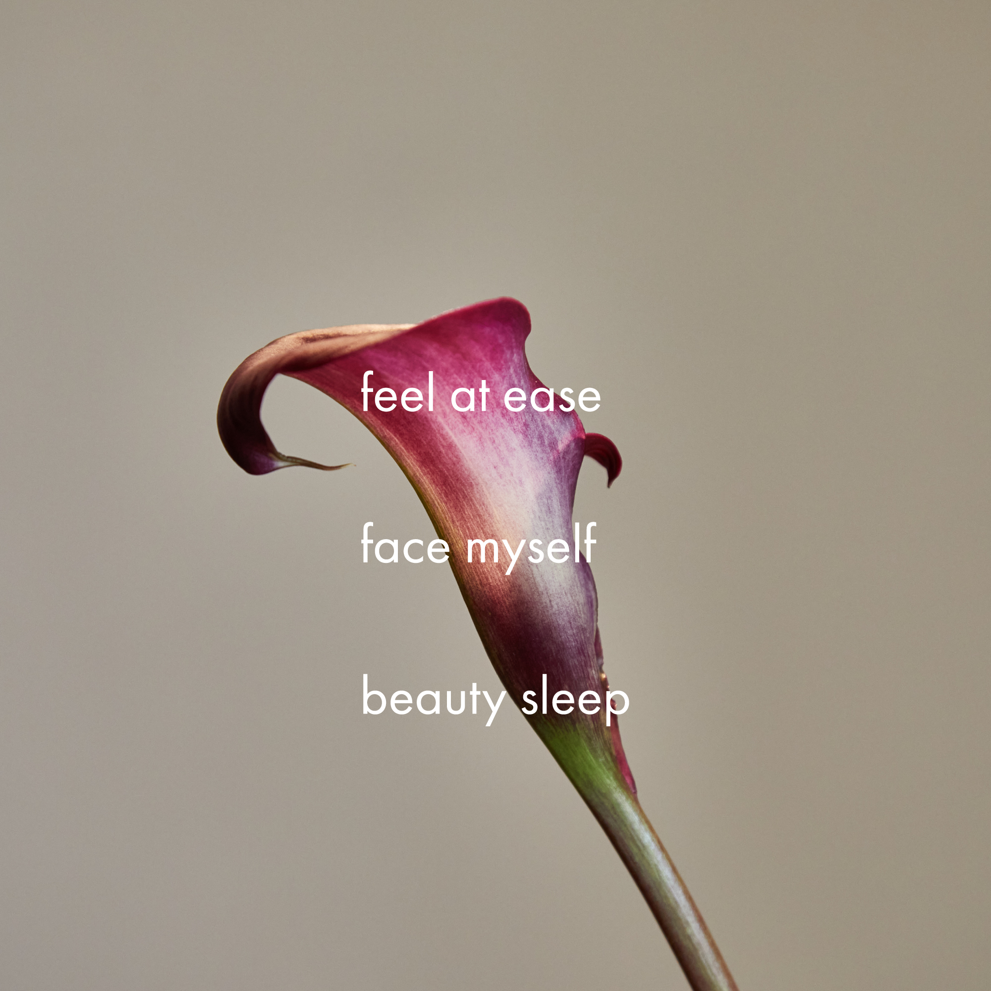 肌にやさしいご褒美シートマスク＜日本製・選べる3タイプ＞