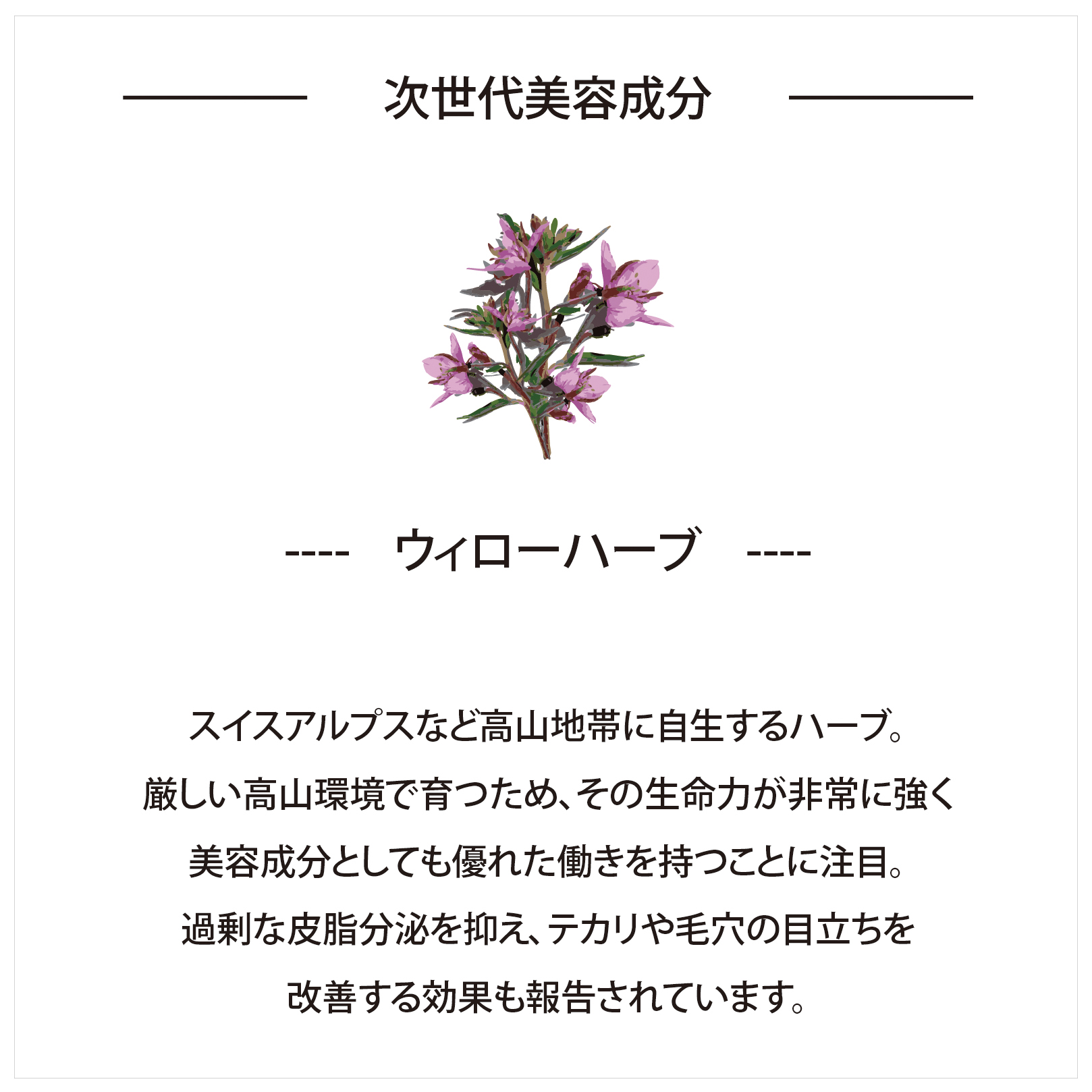 大切な人に贈る癒しと潤い 日本製シートマスク6枚ギフトボックス