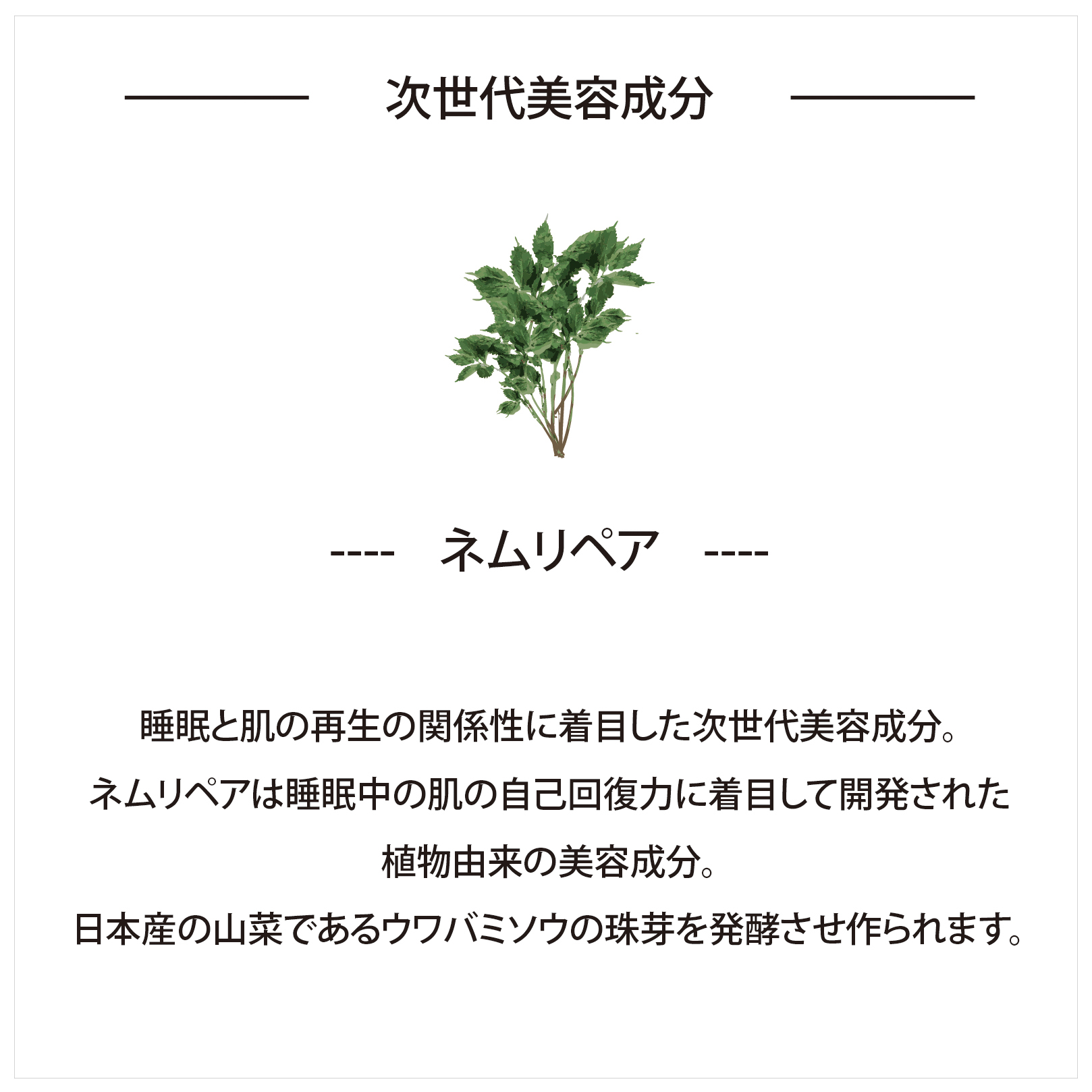 大切な人に贈る癒しと潤い 日本製シートマスク6枚ギフトボックス