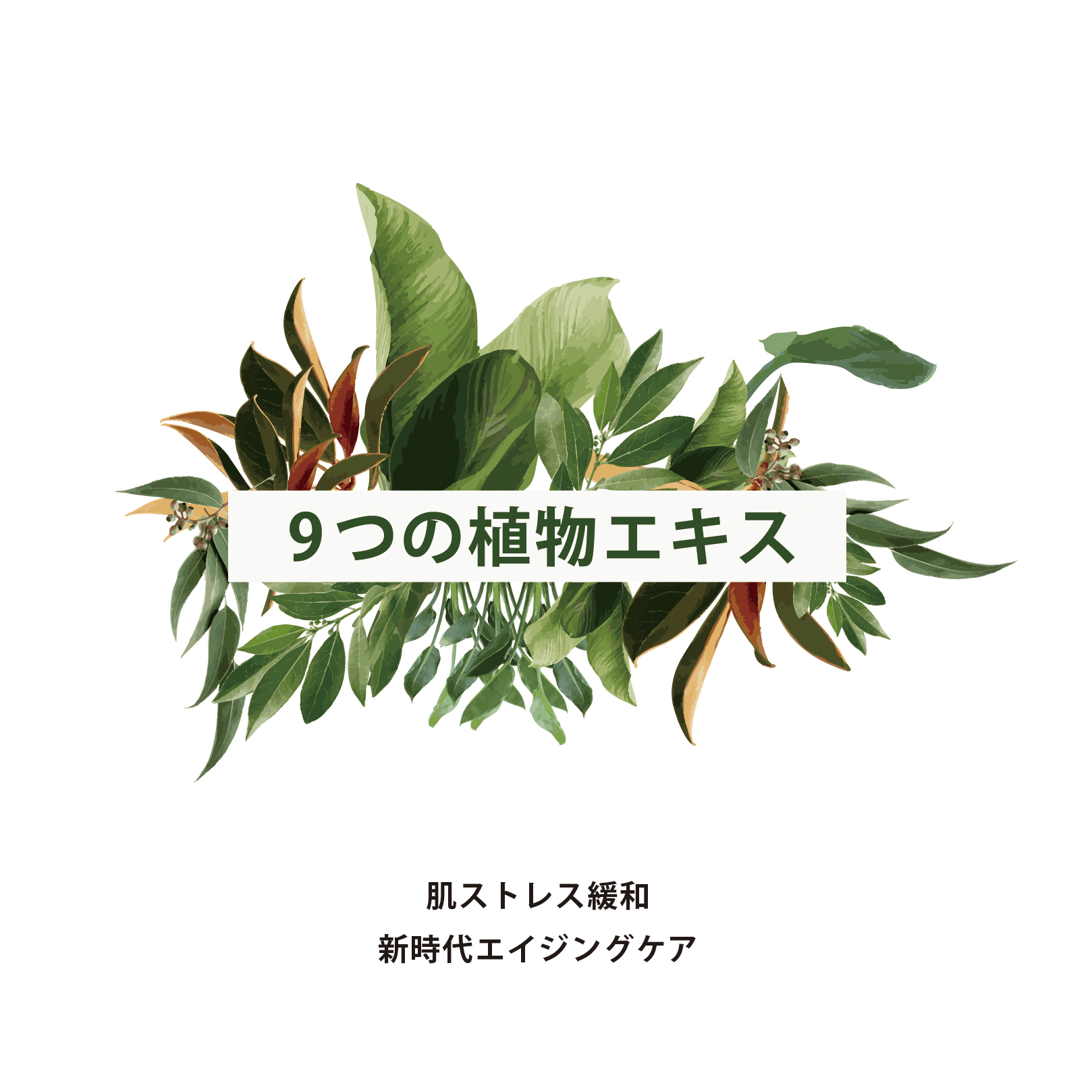 肌にうるおいを与える 日本製フェイス用ヴィーガン石鹸【美容液成分40%以上配合】
