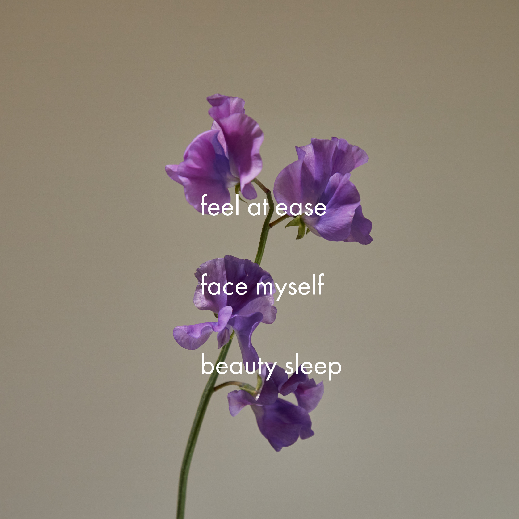 炭と美容成分のWケア 日本製ボディ用ヴィーガン石鹸【美容液成分40%以上配合】