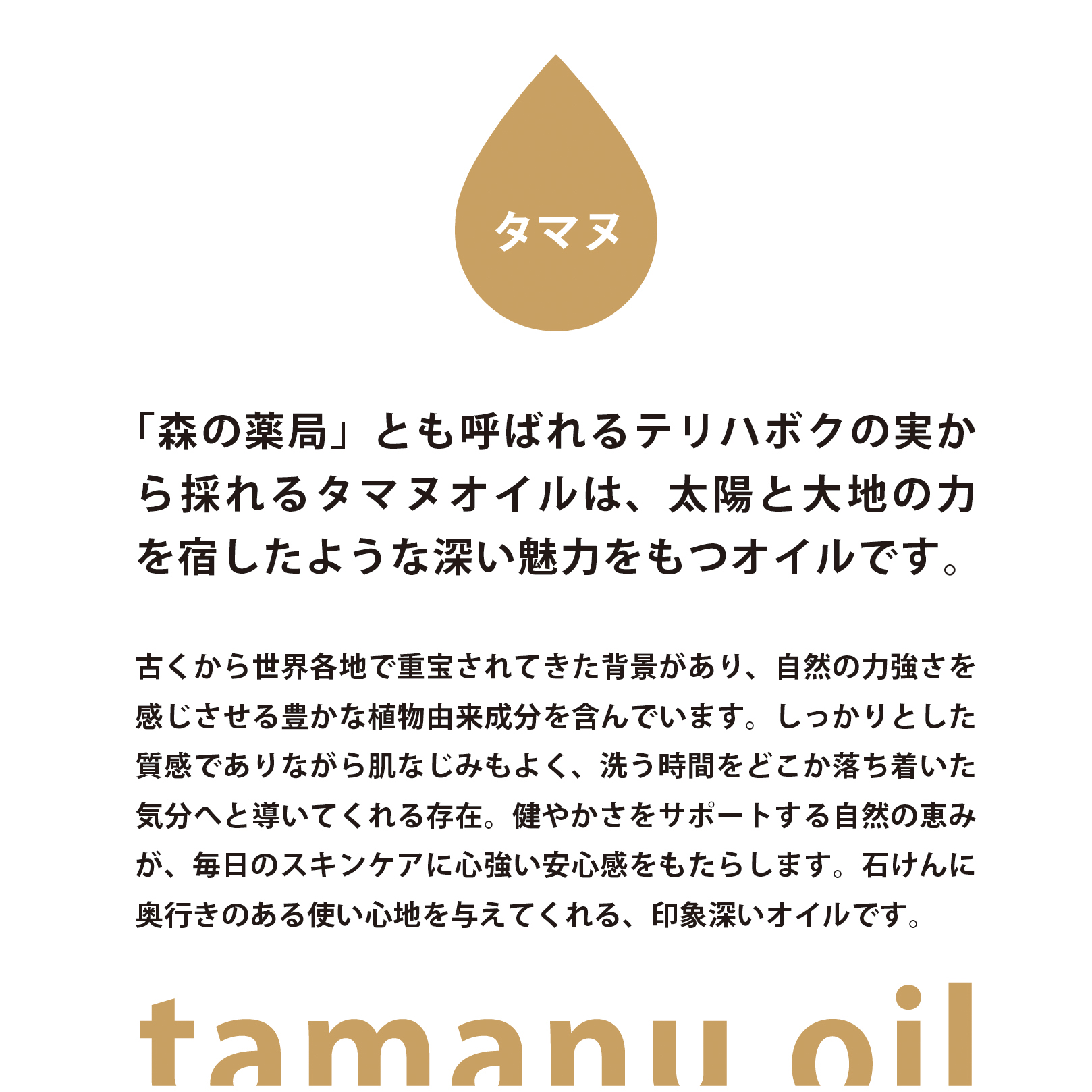 炭と美容成分のWケア 日本製ボディ用ヴィーガン石鹸【美容液成分40%以上配合】