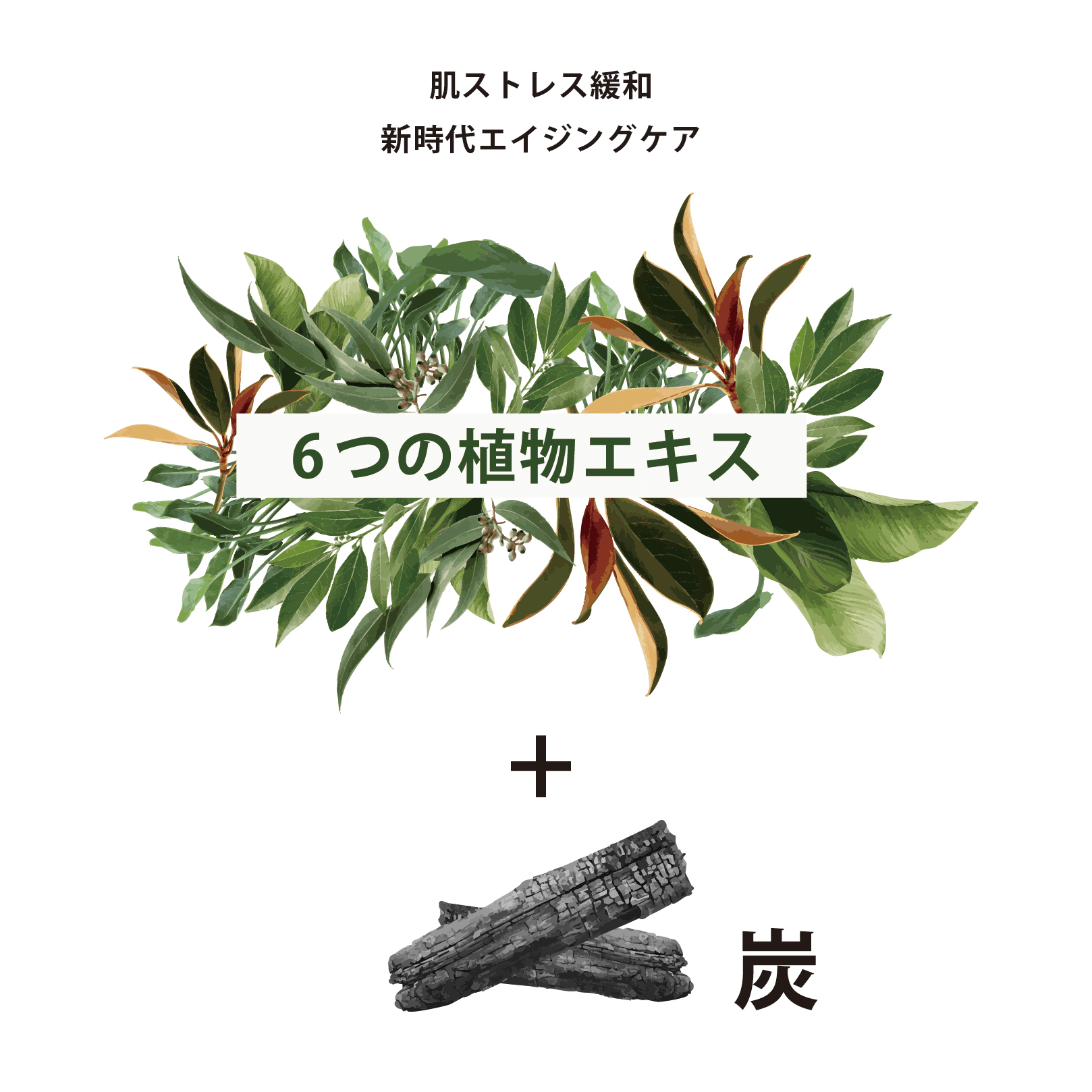 炭と美容成分のWケア 日本製ボディ用ヴィーガン石鹸【美容液成分40%以上配合】