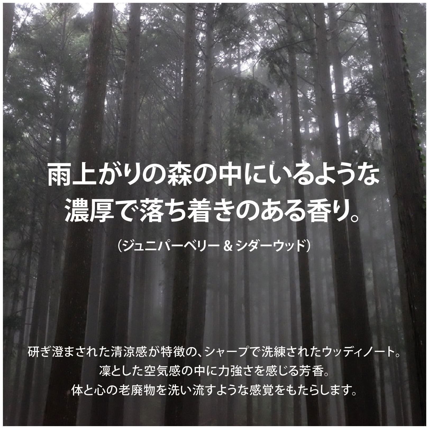 炭と美容成分のWケア 日本製ボディ用ヴィーガン石鹸【美容液成分40%以上配合】