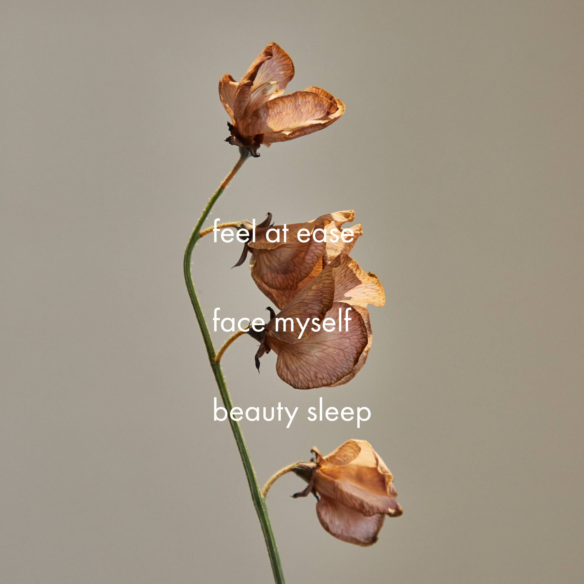 驚き濃密泡 8層構造の泡だてネット