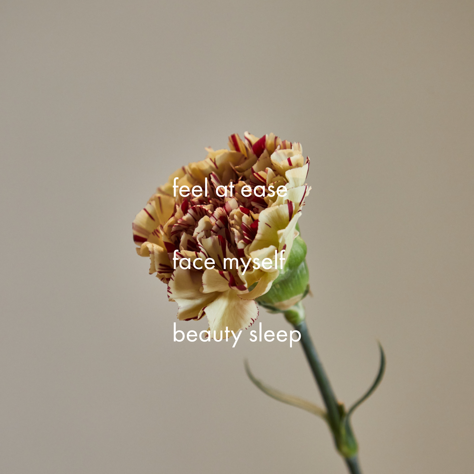 手洗いのような肌あたり 高級ボディタオル