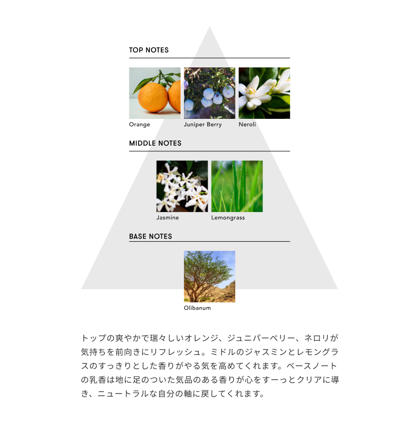 【ベスコス受賞】シンピュルテヘアオイル＆スカルプブラシセット