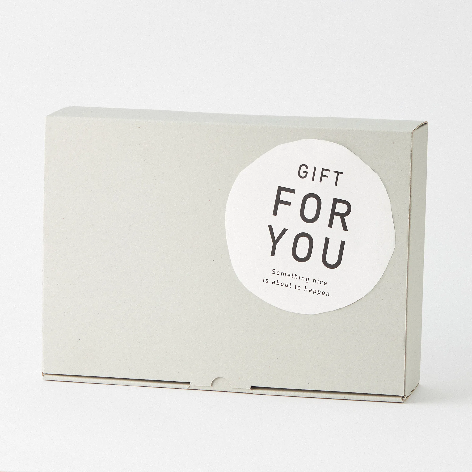 推し活にもピッタリ！ミッフィーと光るミニクリアファンセット