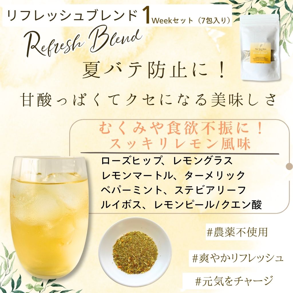 水出しハーブティー1weekセット各７包入り