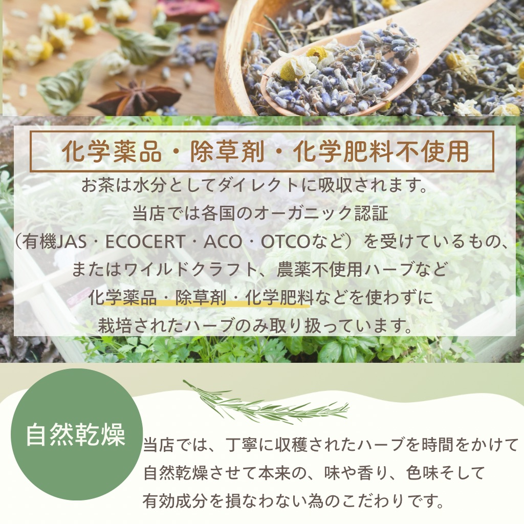 水出しハーブティー1weekセット各７包入り