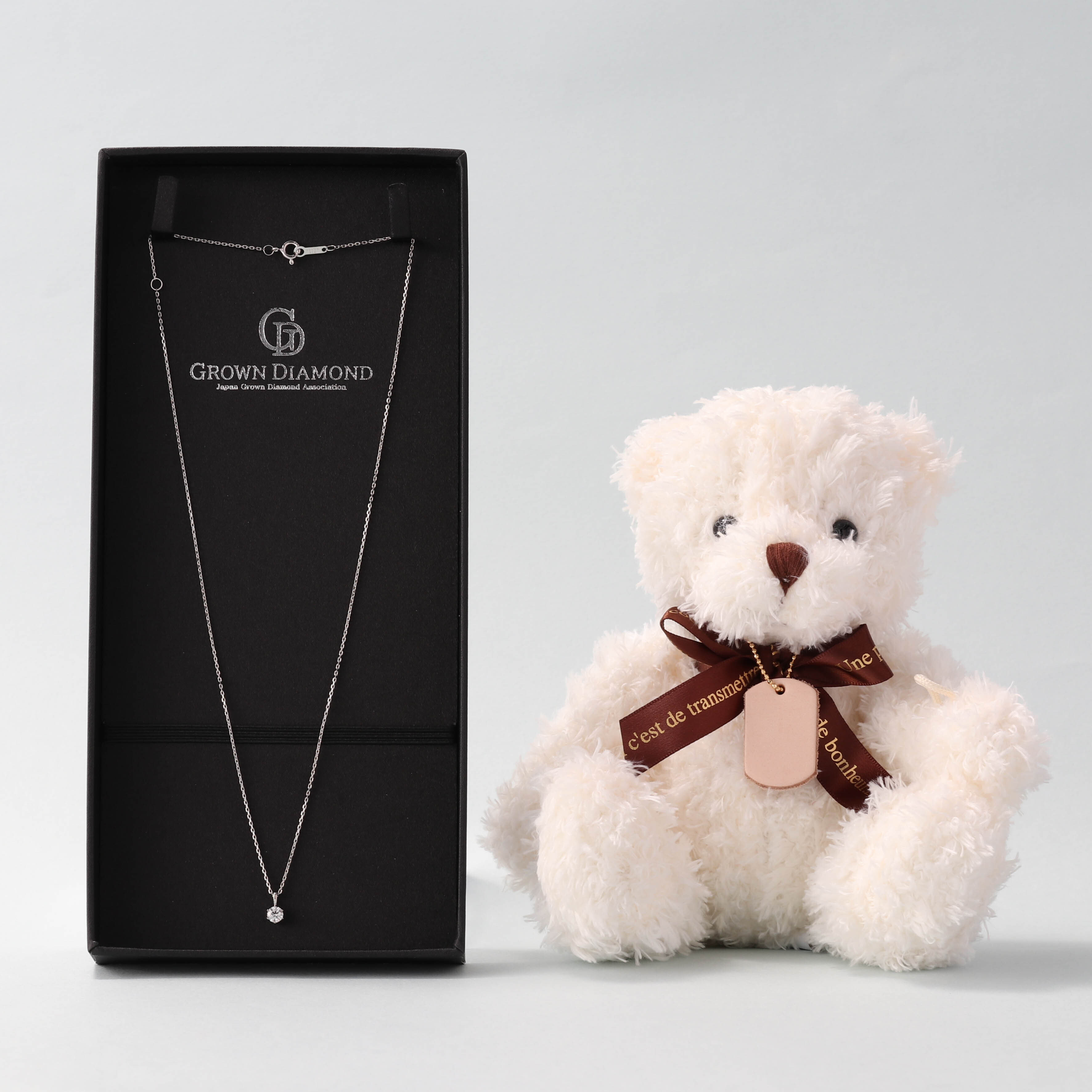 大切な人に贈る 名入れテディベア&ラボグロウンダイヤモンド 一粒ネックレス（0.3ct）