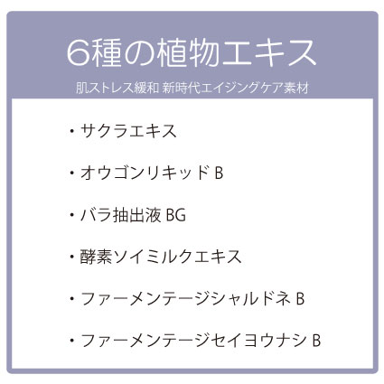 【BOX付】高級ボディタオル＆ボディ用ヴィーガン石鹸