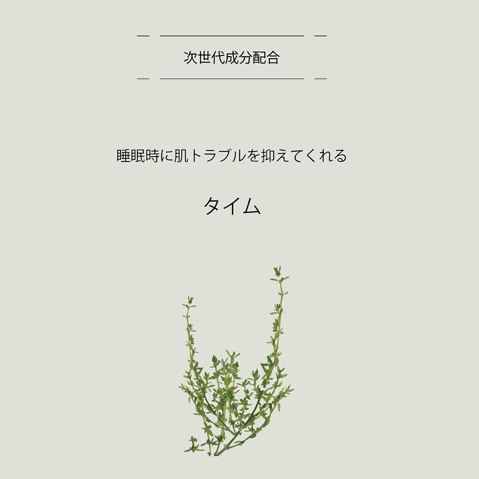 【BOX付】デイリーで使えるフェイシャルケアセット