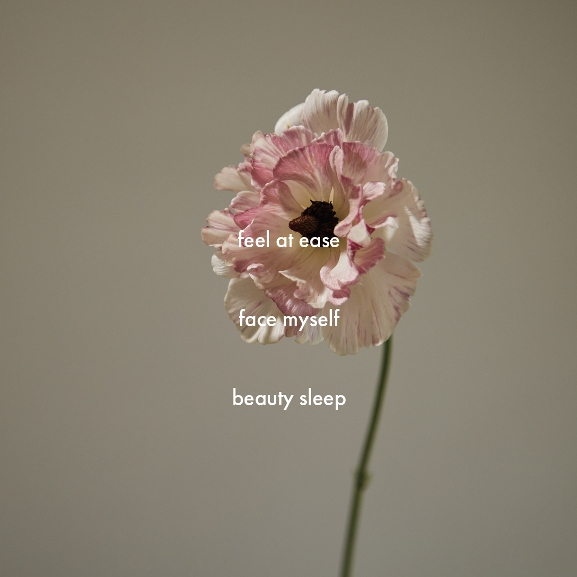 【BOX付】デイリーで使えるフェイシャルケアセット