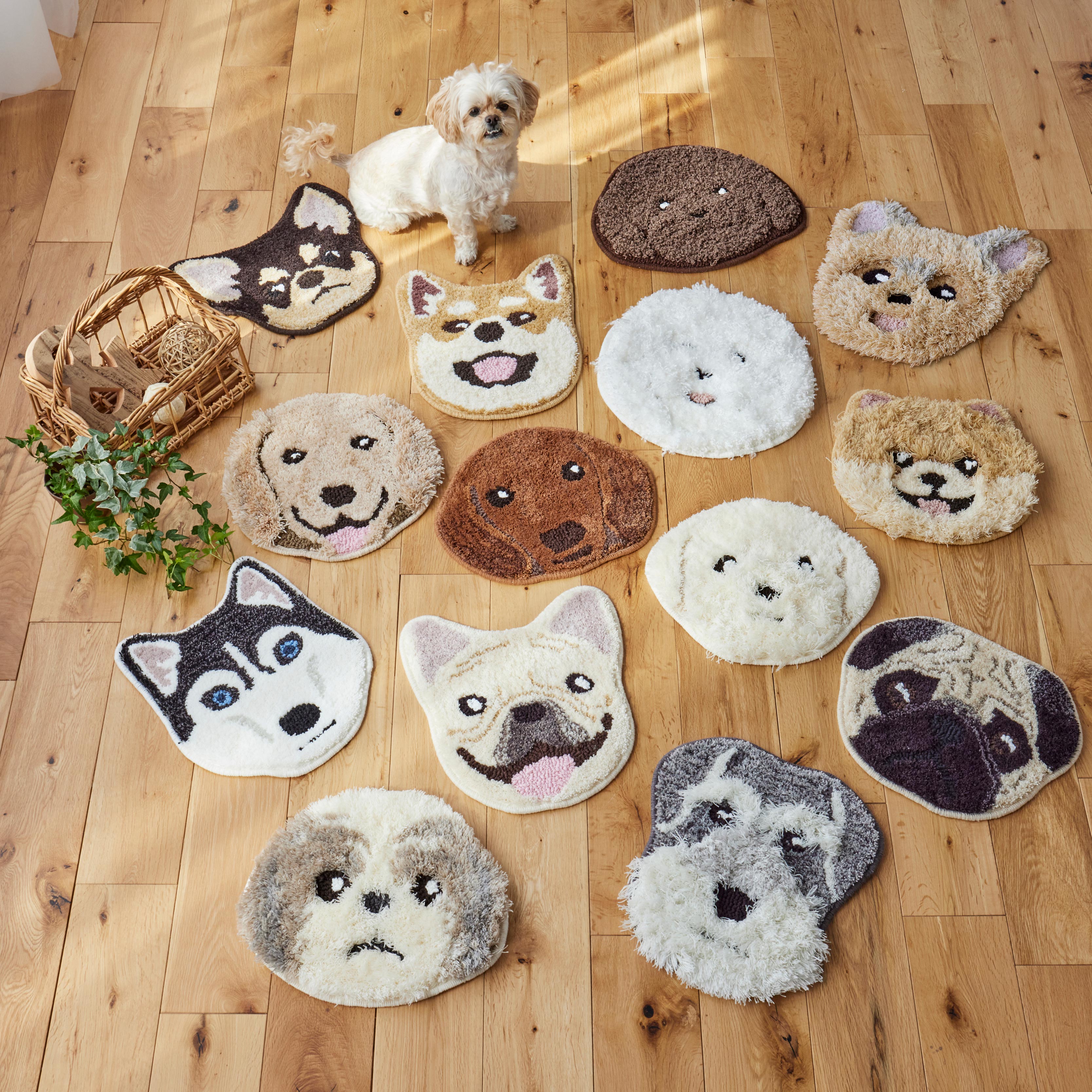 イヌカオ マット