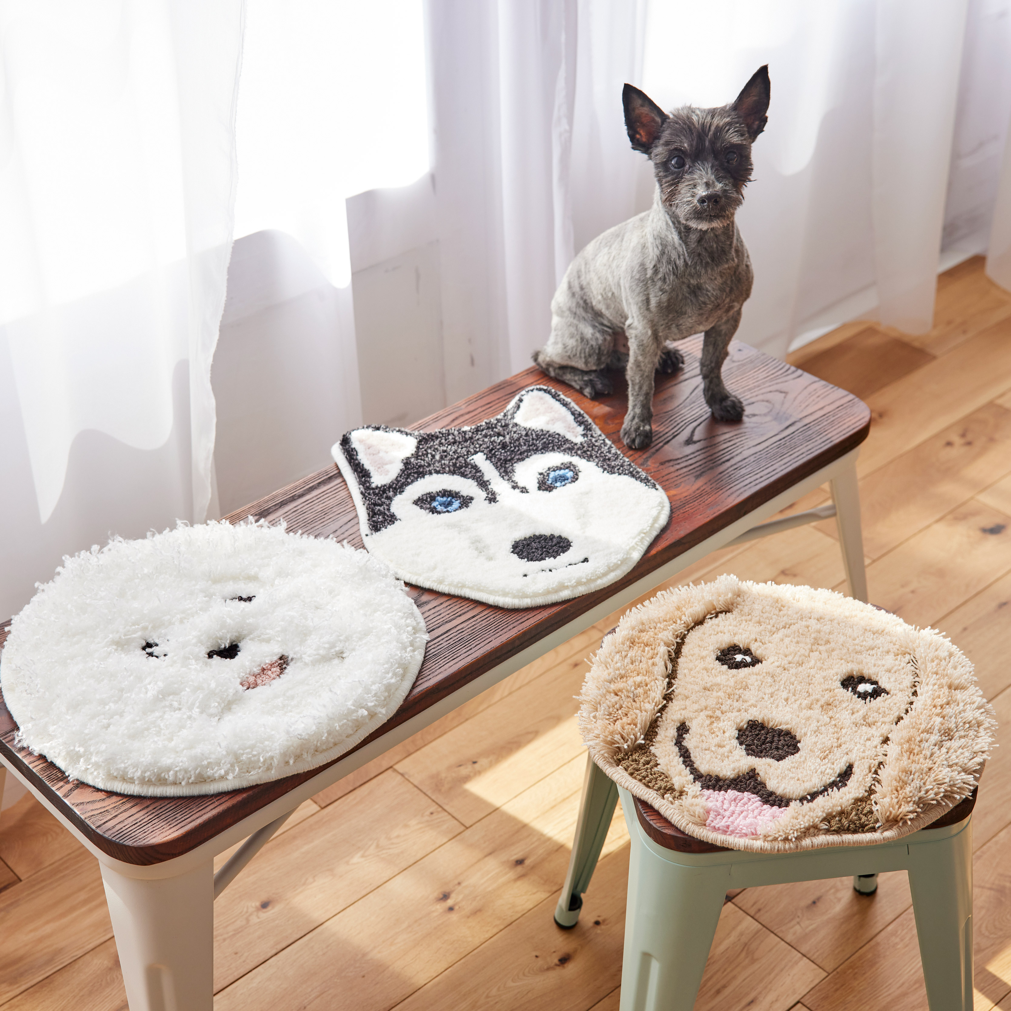 イヌカオ マット